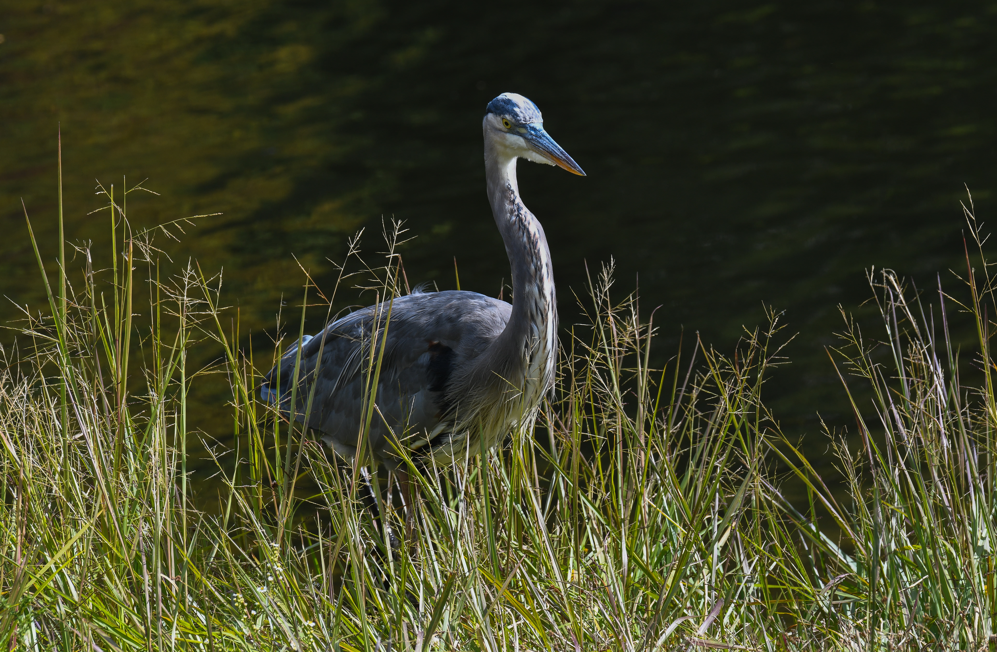 These photos were taken on a warm September day.