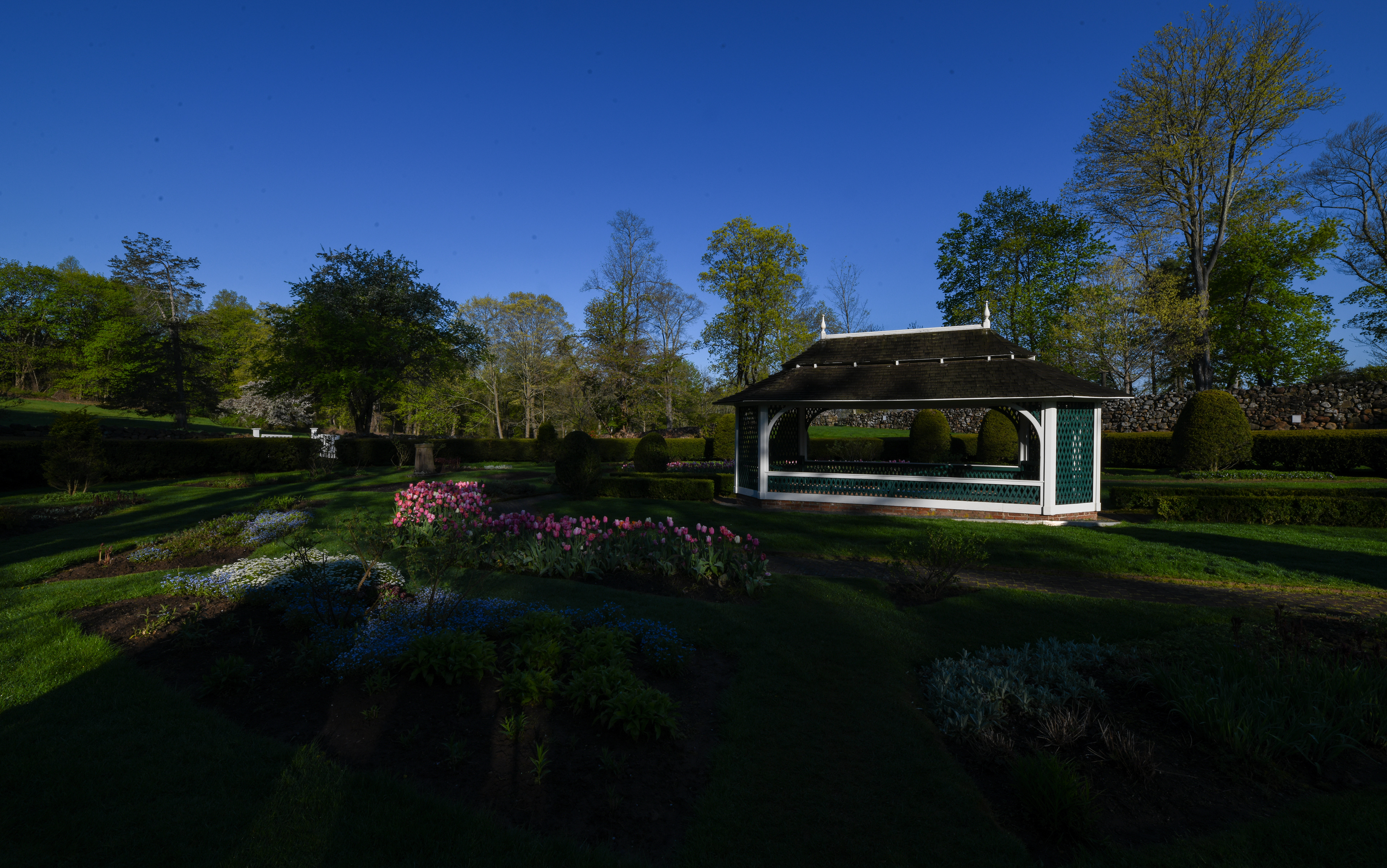 The newly illuminated flowers are nice, but the alluring mystique of the shadows (left photo) are priceless.
