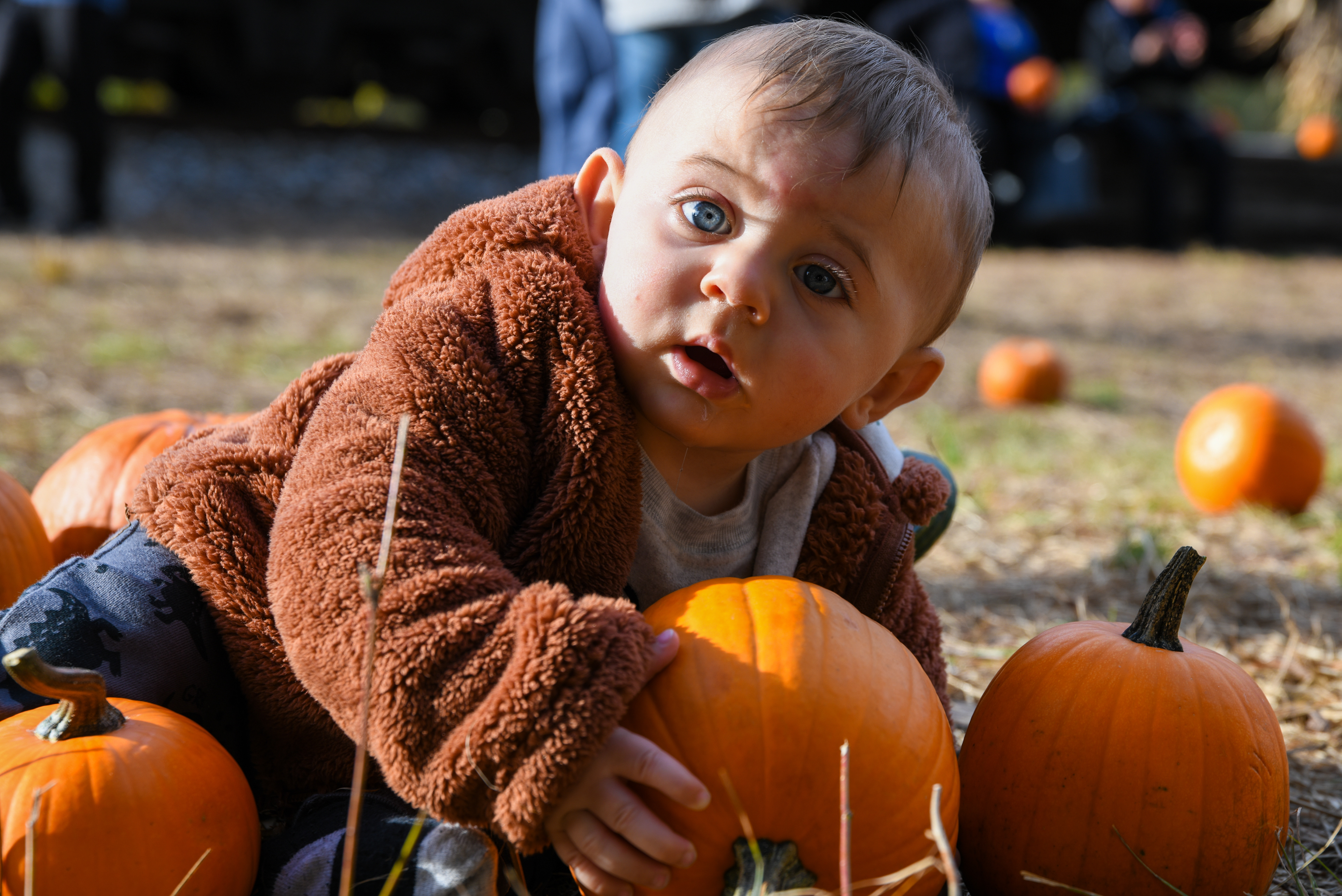 Wait....I'm just learning. Is that what everyone calls a pumpkin? If so, I think I like it !