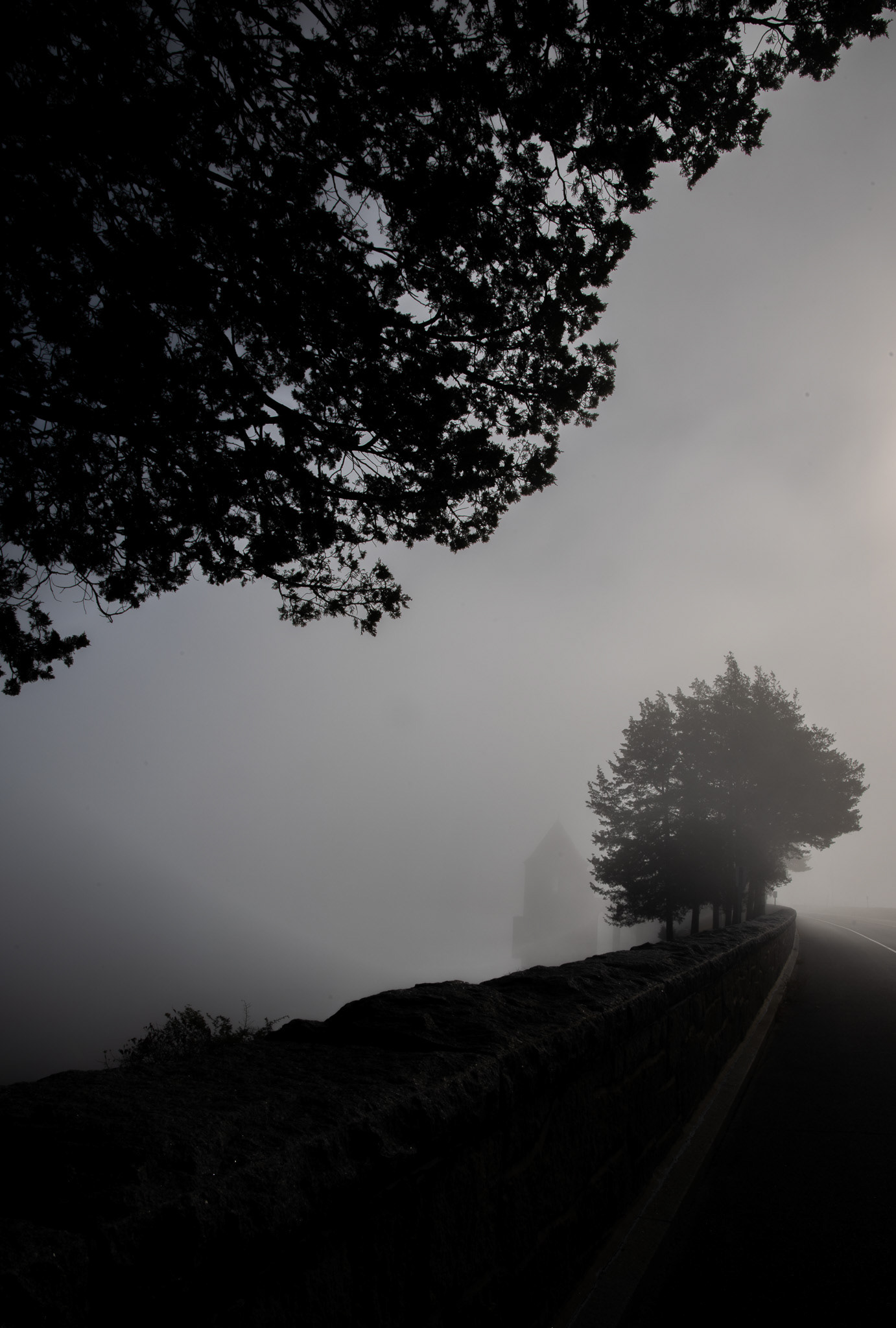 foggy silhouette