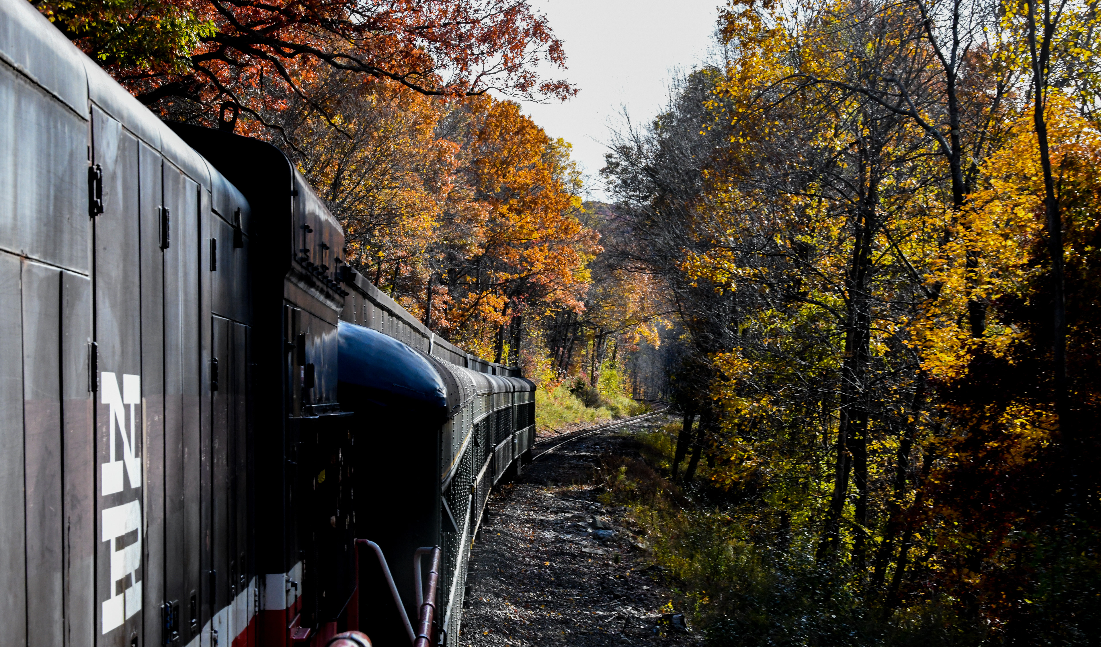 Autum blaze