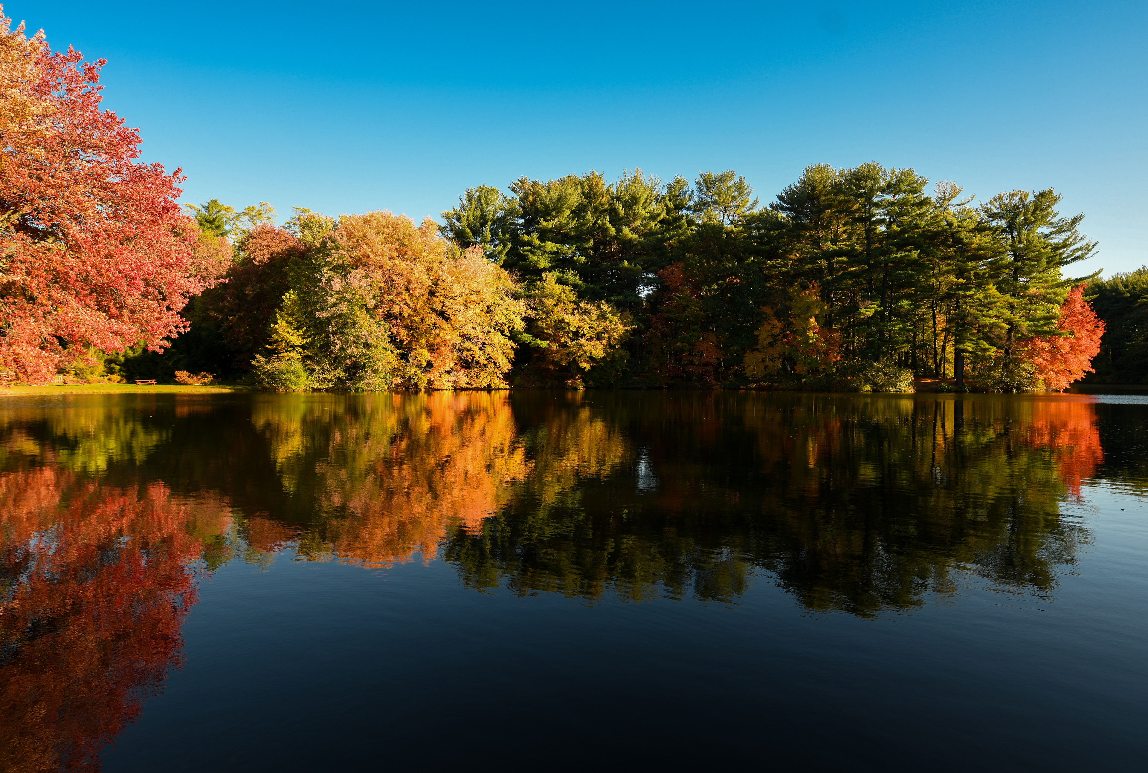 Pine Lake - historically called Malone's Pond - Bristol, Connecticut - 2
