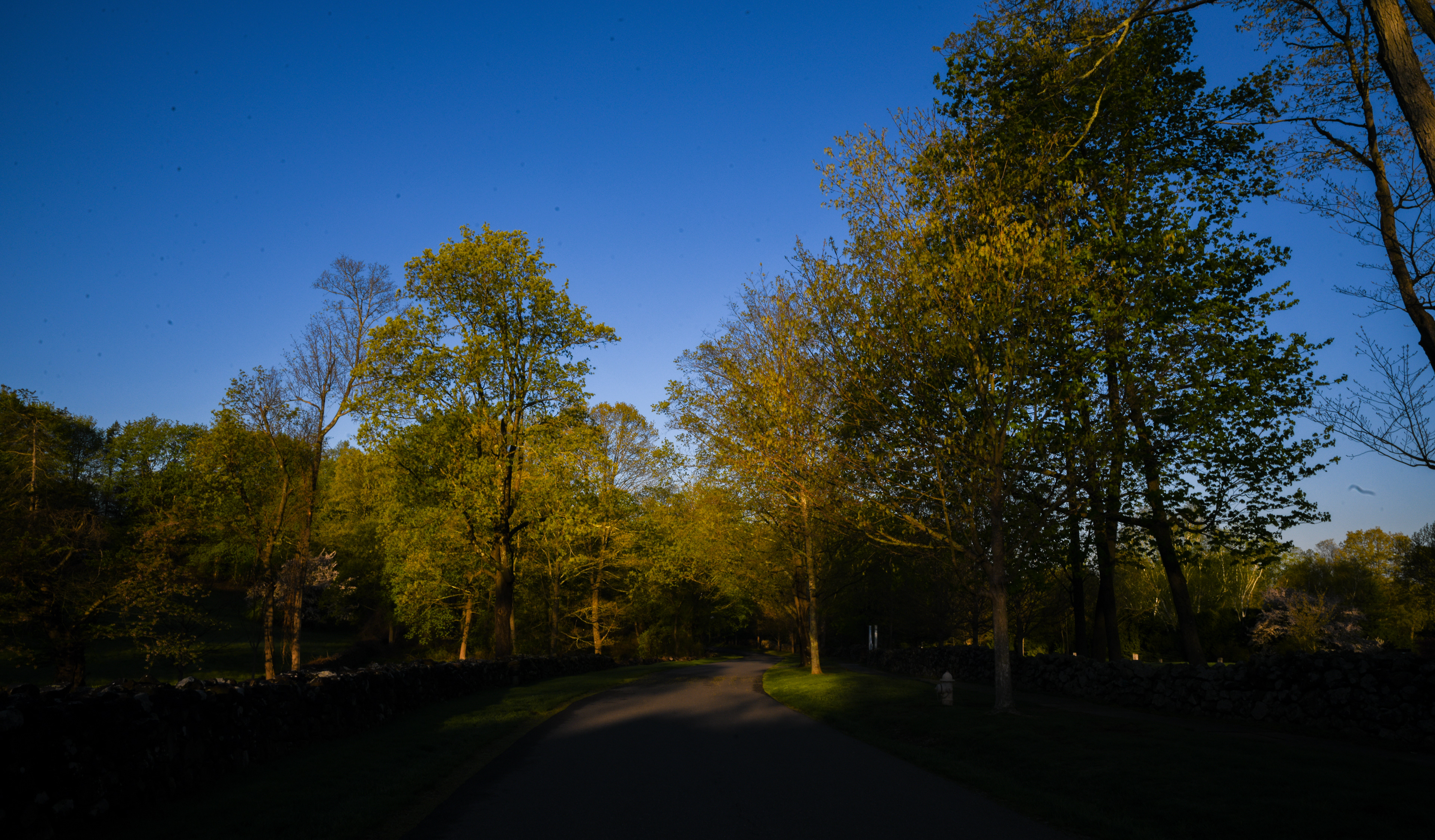 Theodate's will: Hill-Stead was to be a museum “for the benefit and enjoyment of the public.”