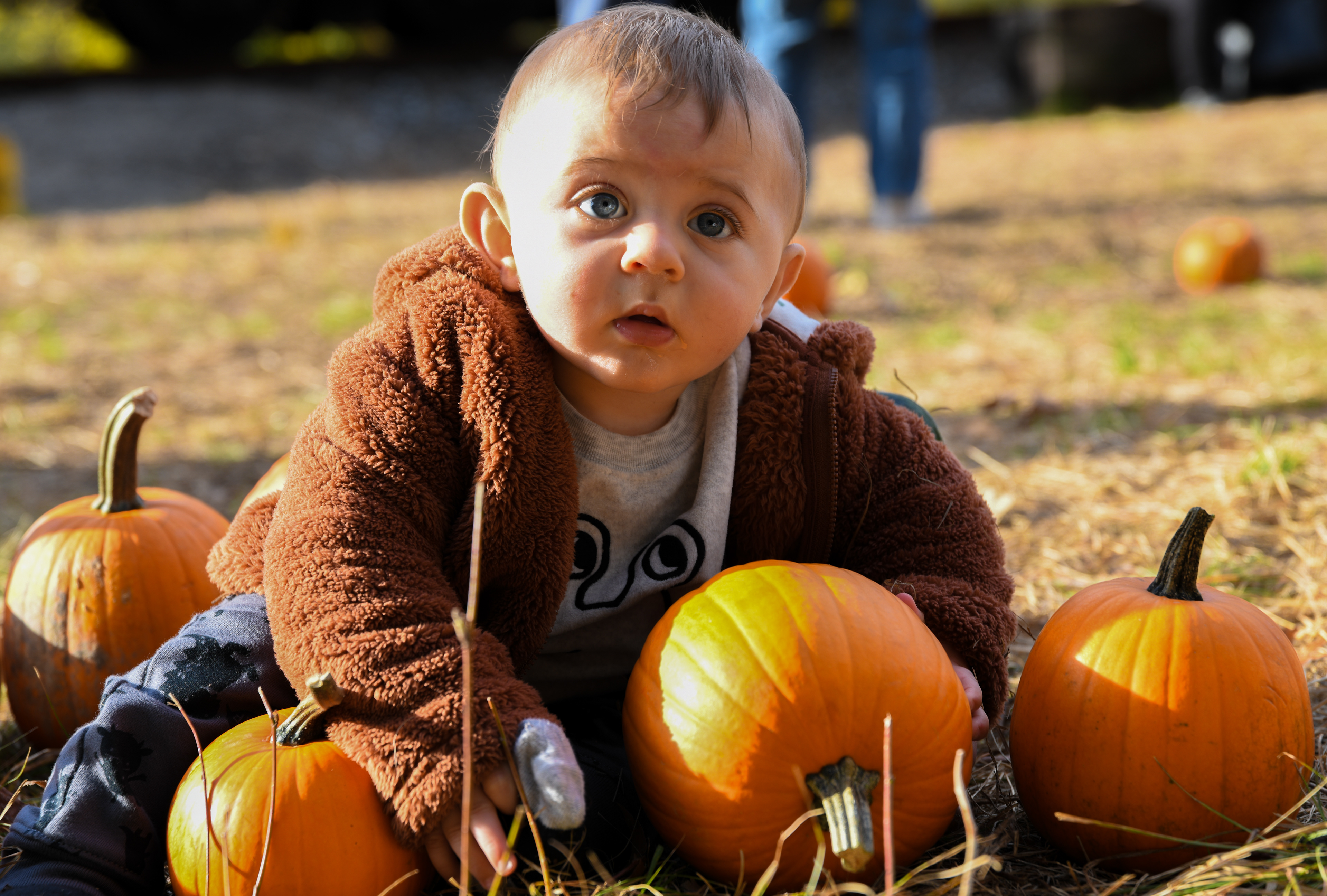 Pumpkin Patch Day at the Railroad Museum of New England, Thomaston, CT . This was the shot of the day. I knew it when I took it.