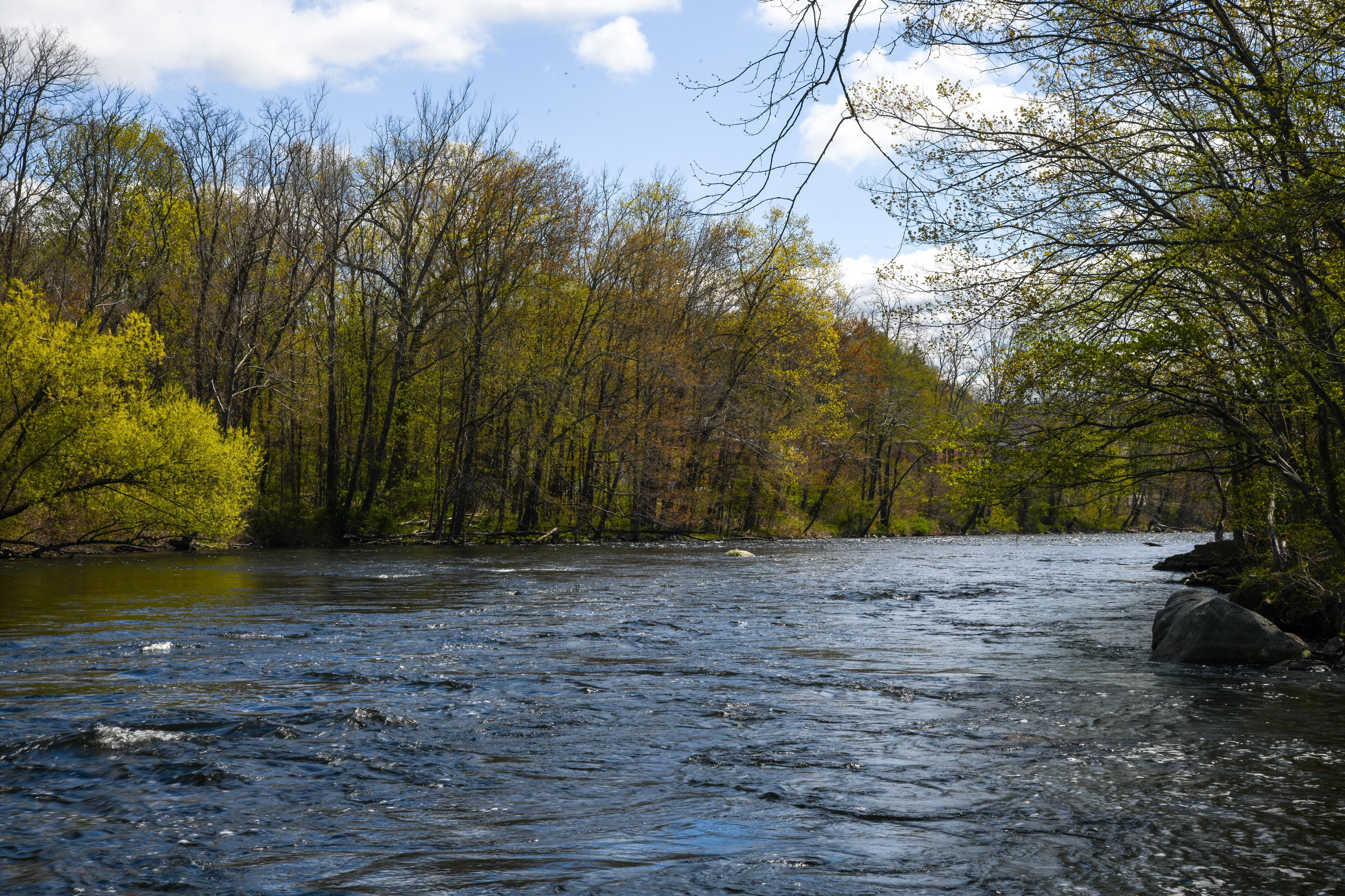 Trout season on the Farmington River