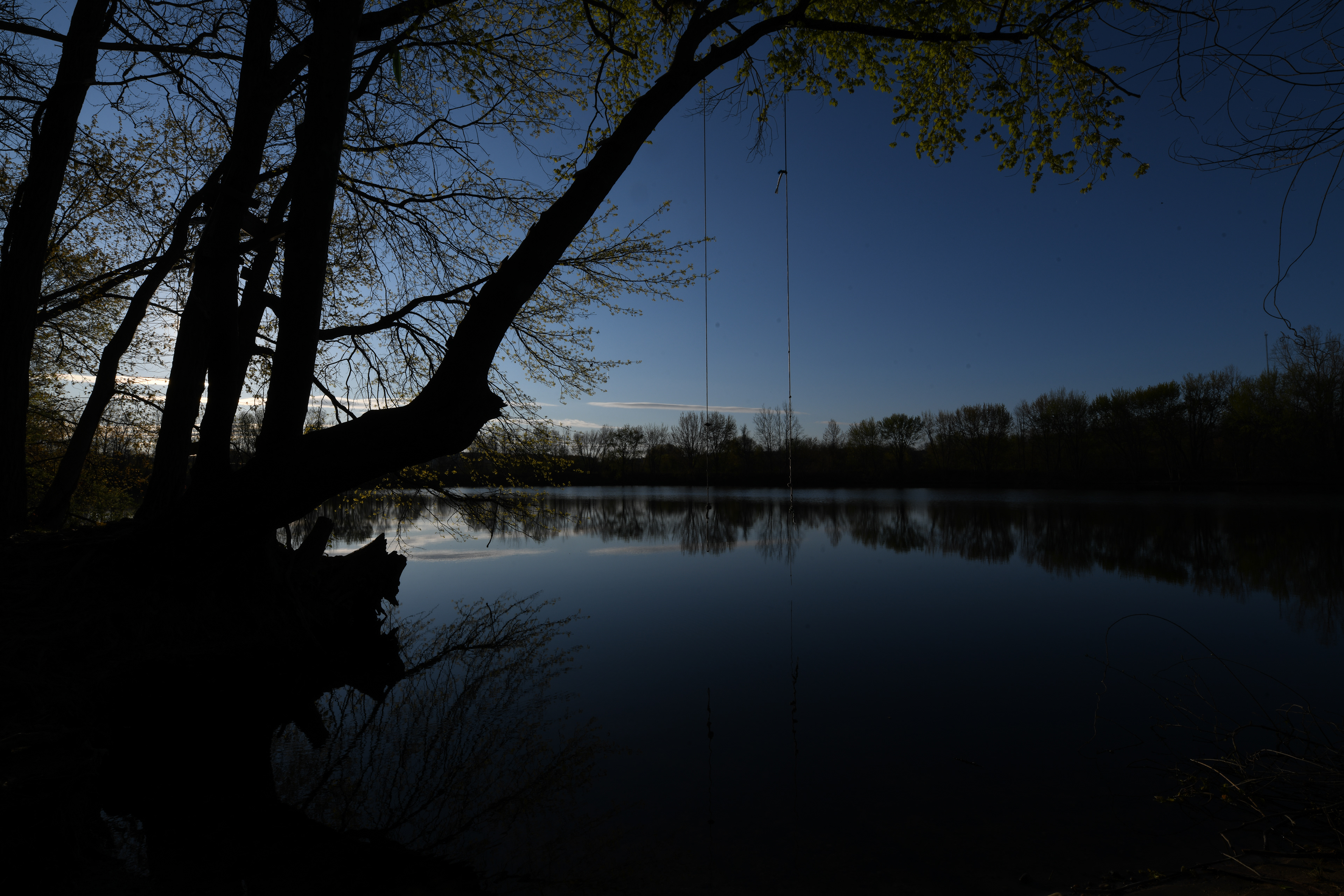 Dawn's early light