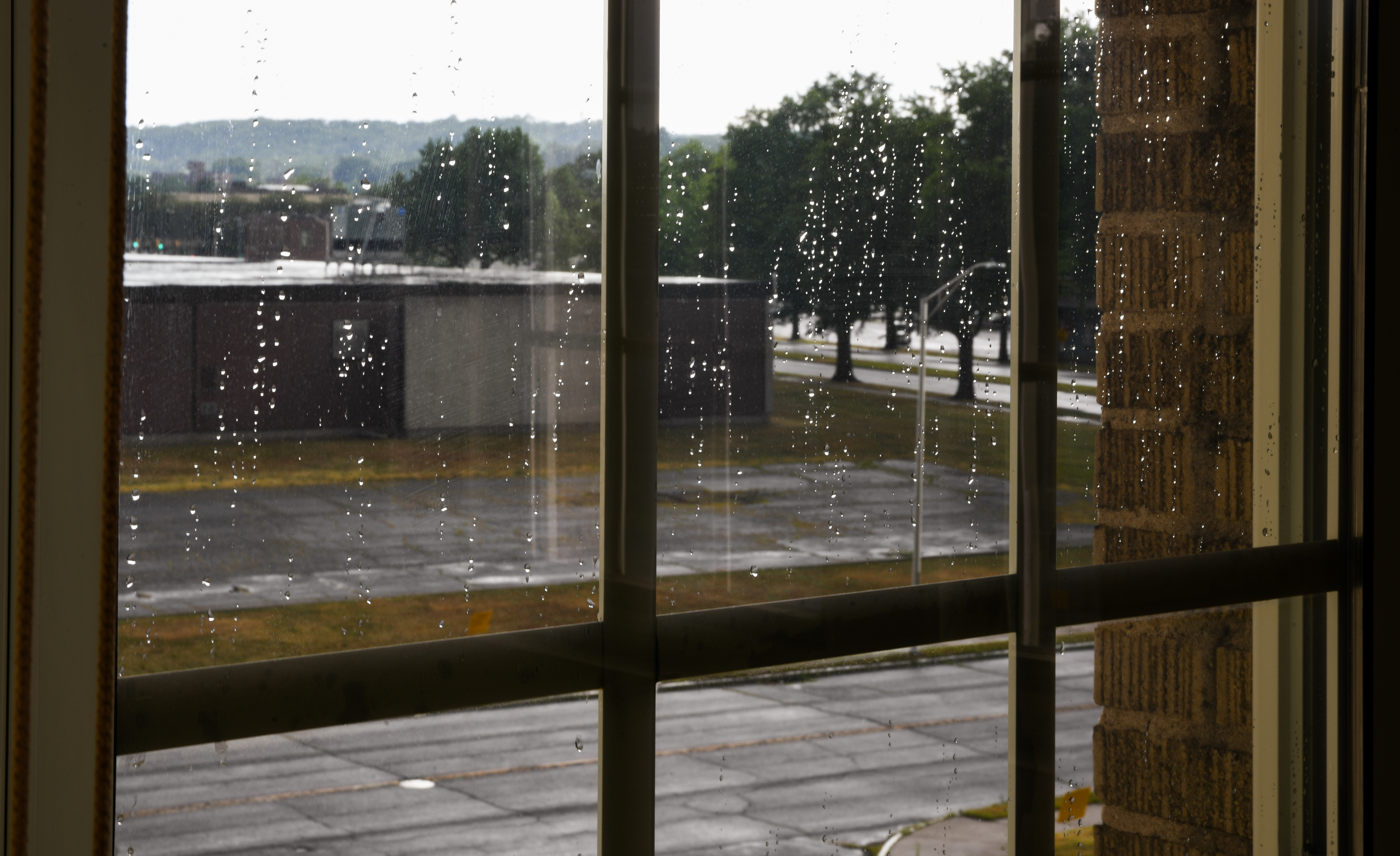 Just after an August thunderstorm.