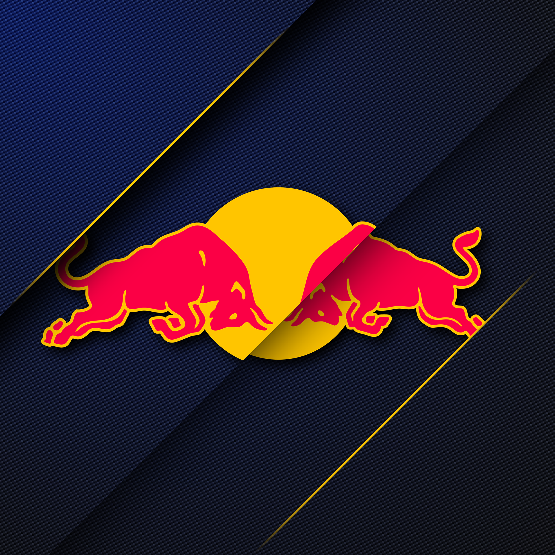 Oracle Red Bull Racing