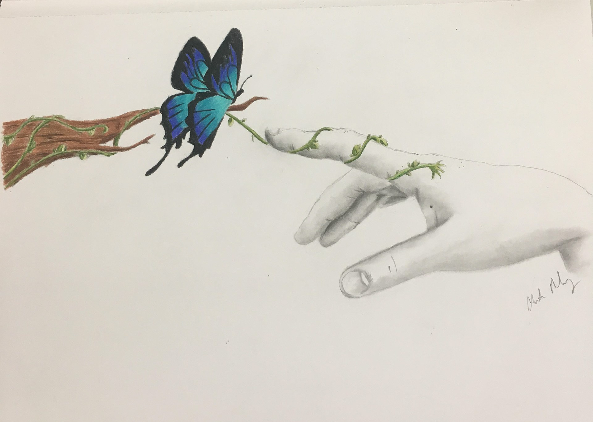 Sketched out hand in a pointed pose that has a vine wrapped around the pointer finger. Pointing a butterfly that is perched on a branch. Both the butterfly and branch are done in colored pencils.