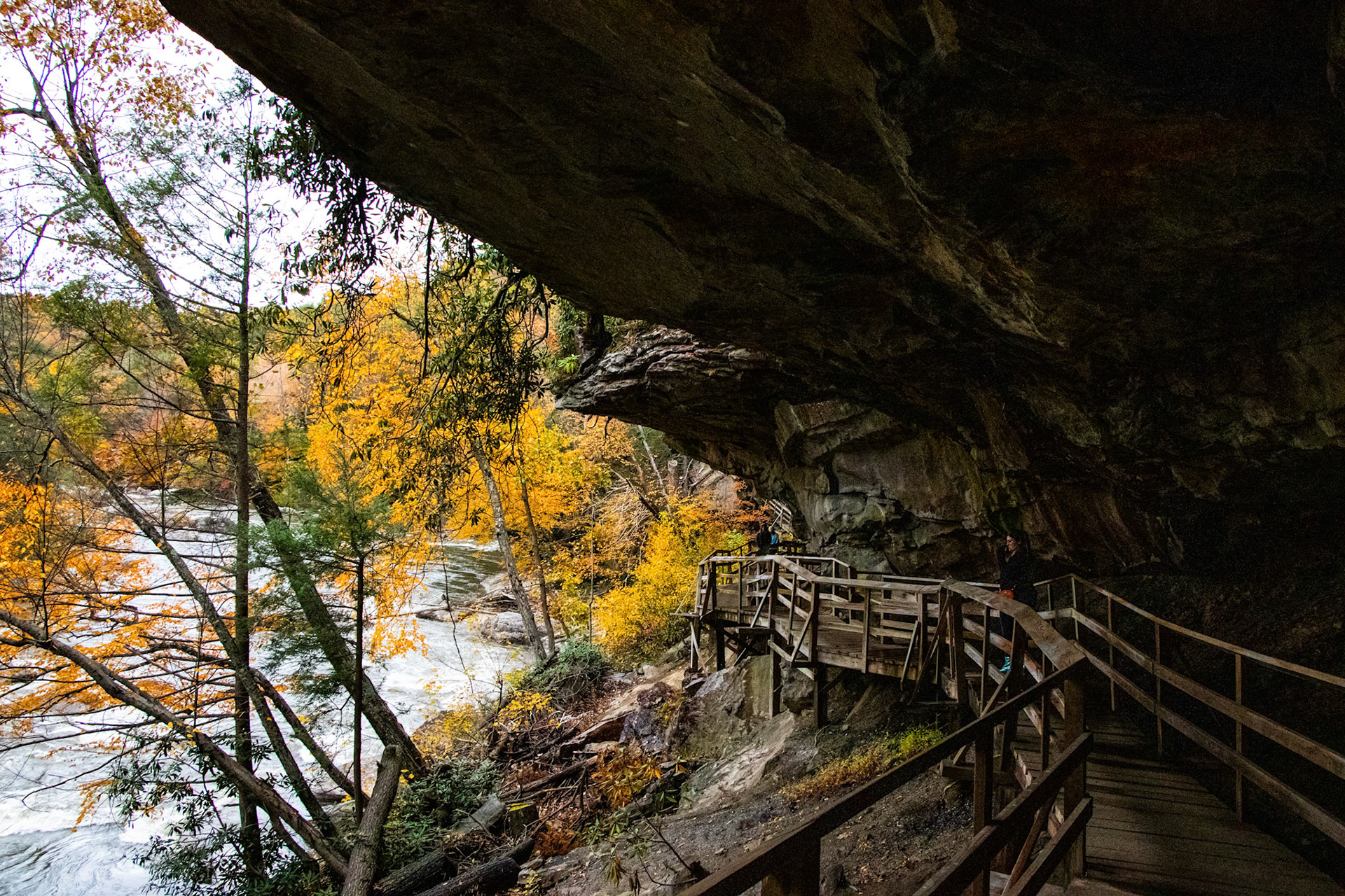 The Audra State Park Boardwalk in the fall. Near Buckhannon, WV