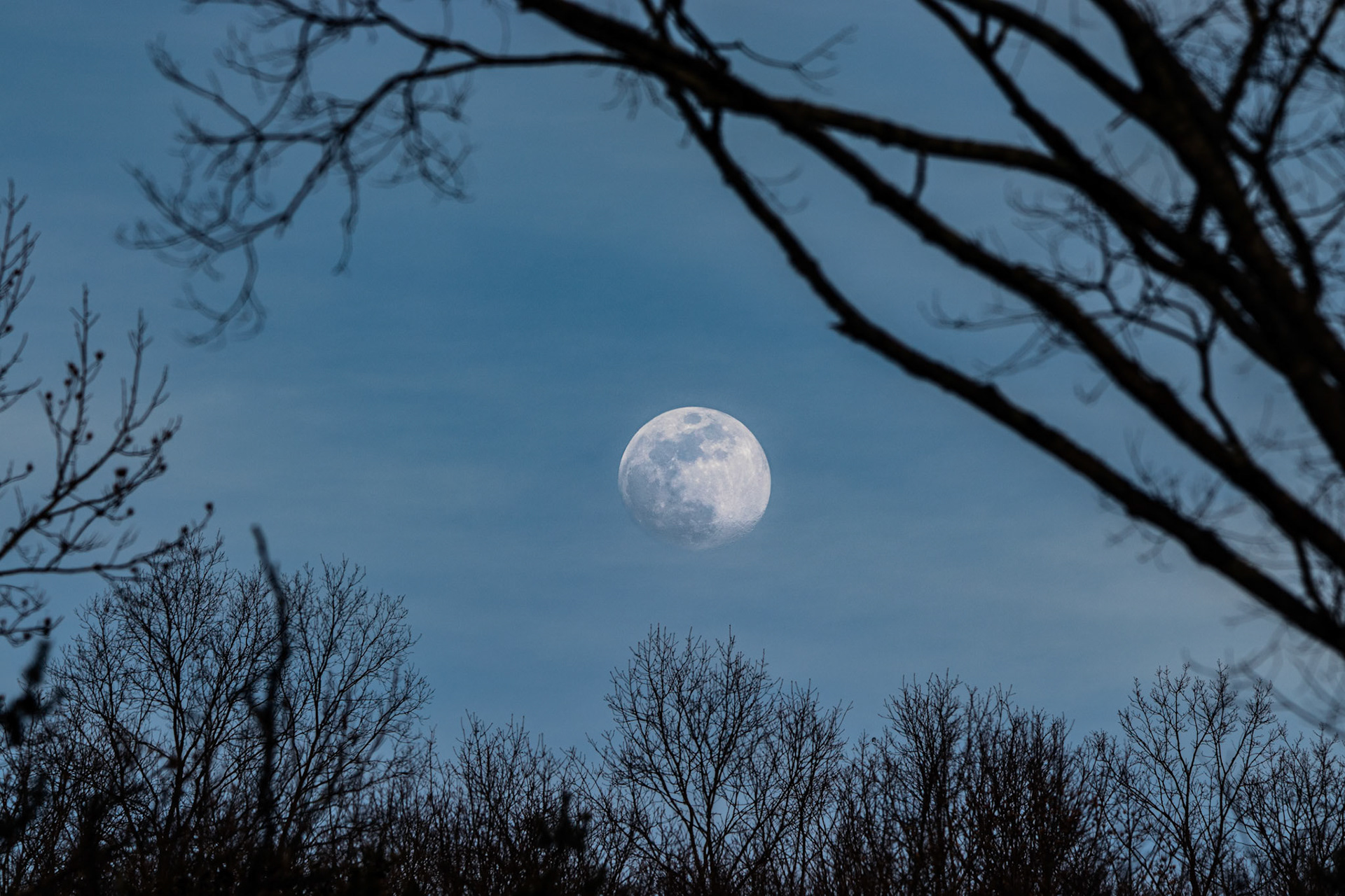 Cool shot of the moon I was able to get from near my house.