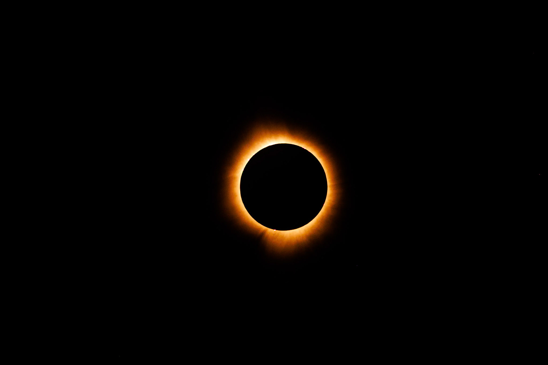 Full Totality, 2024 Total Eclipse. Taken in northern Ohio