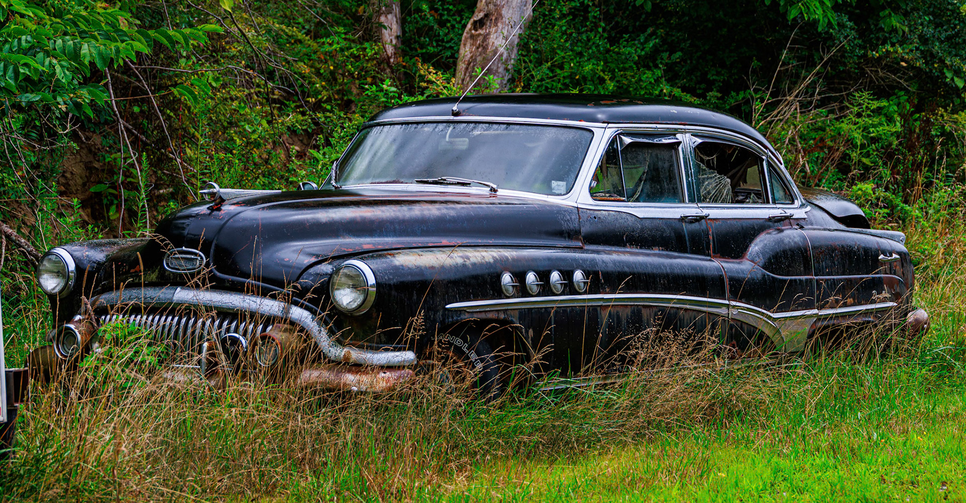 Saw this early 50's Buick Roadmaster Sedan by the side of the road on a day trip. Near Philippi, WV