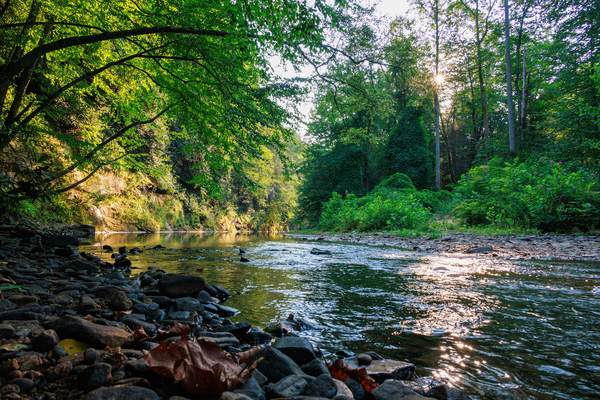 Riverside at the end of the line of the Rail Explorers Elk River Division.