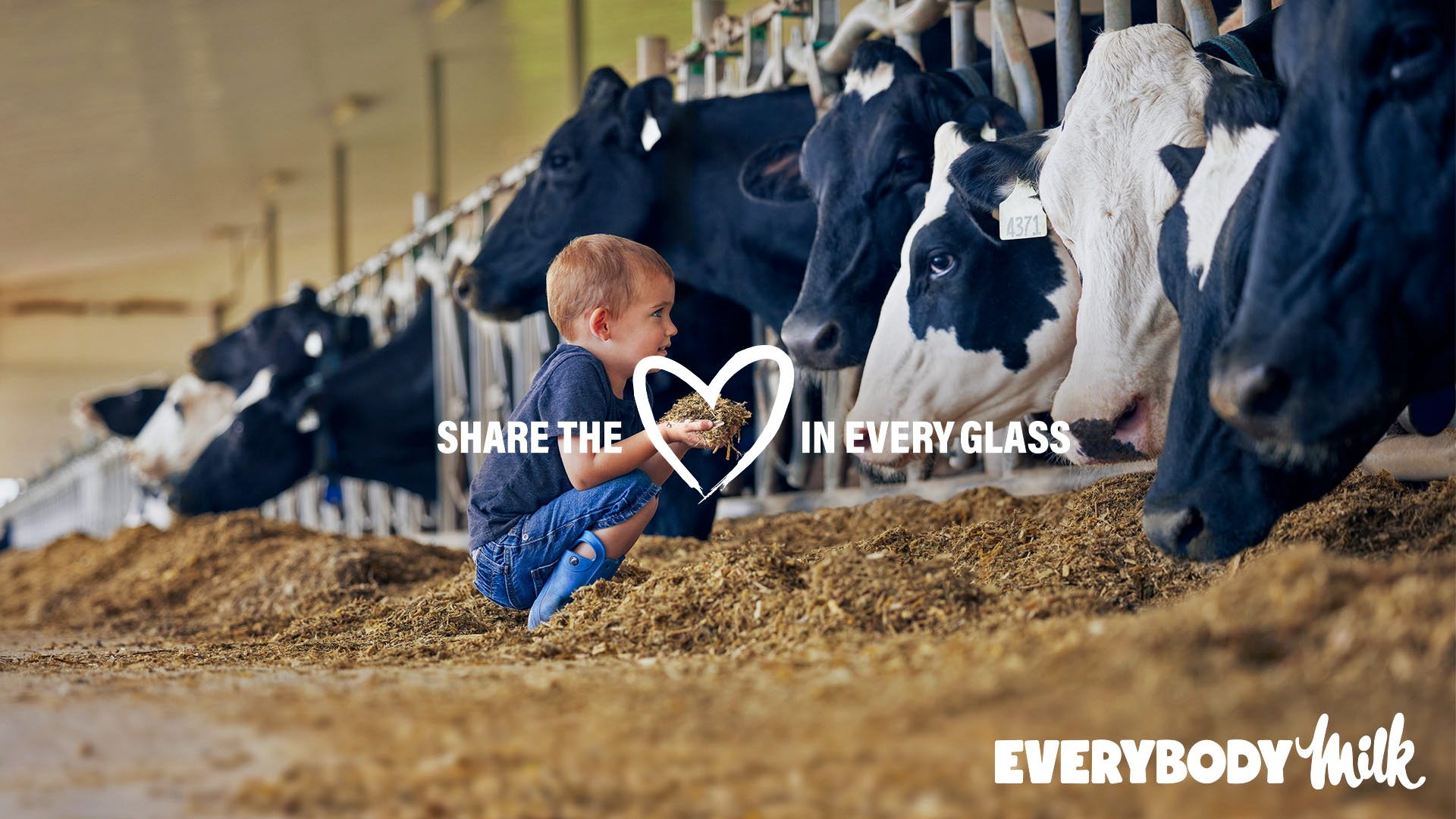 DAIRY FARMERS OF ONTARIO