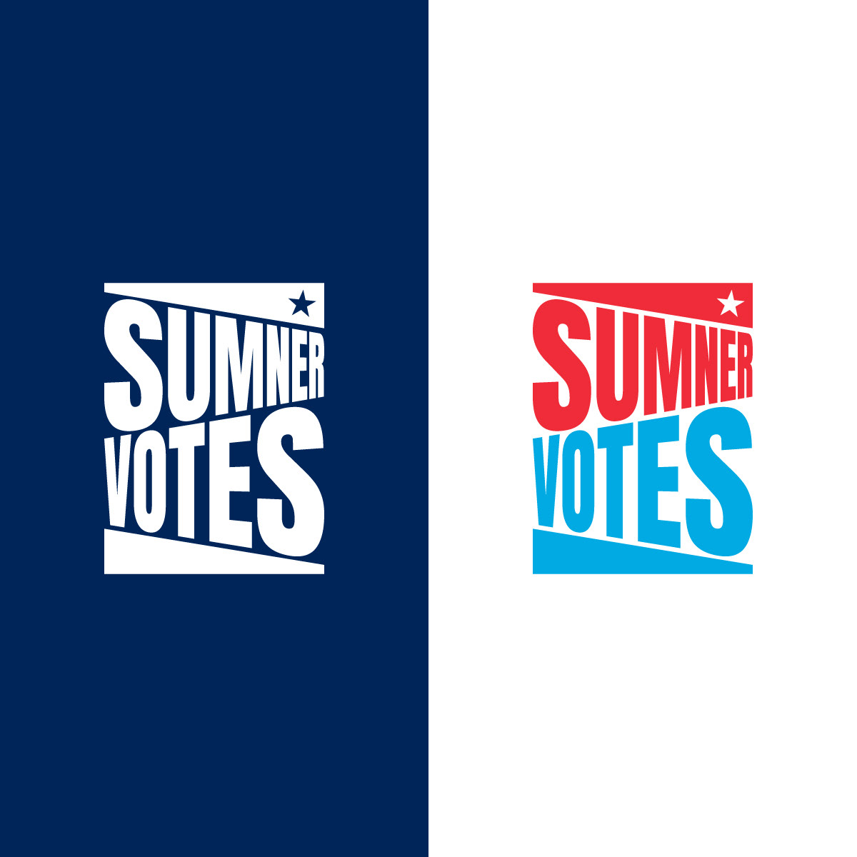Sumner Votes • Logo Design