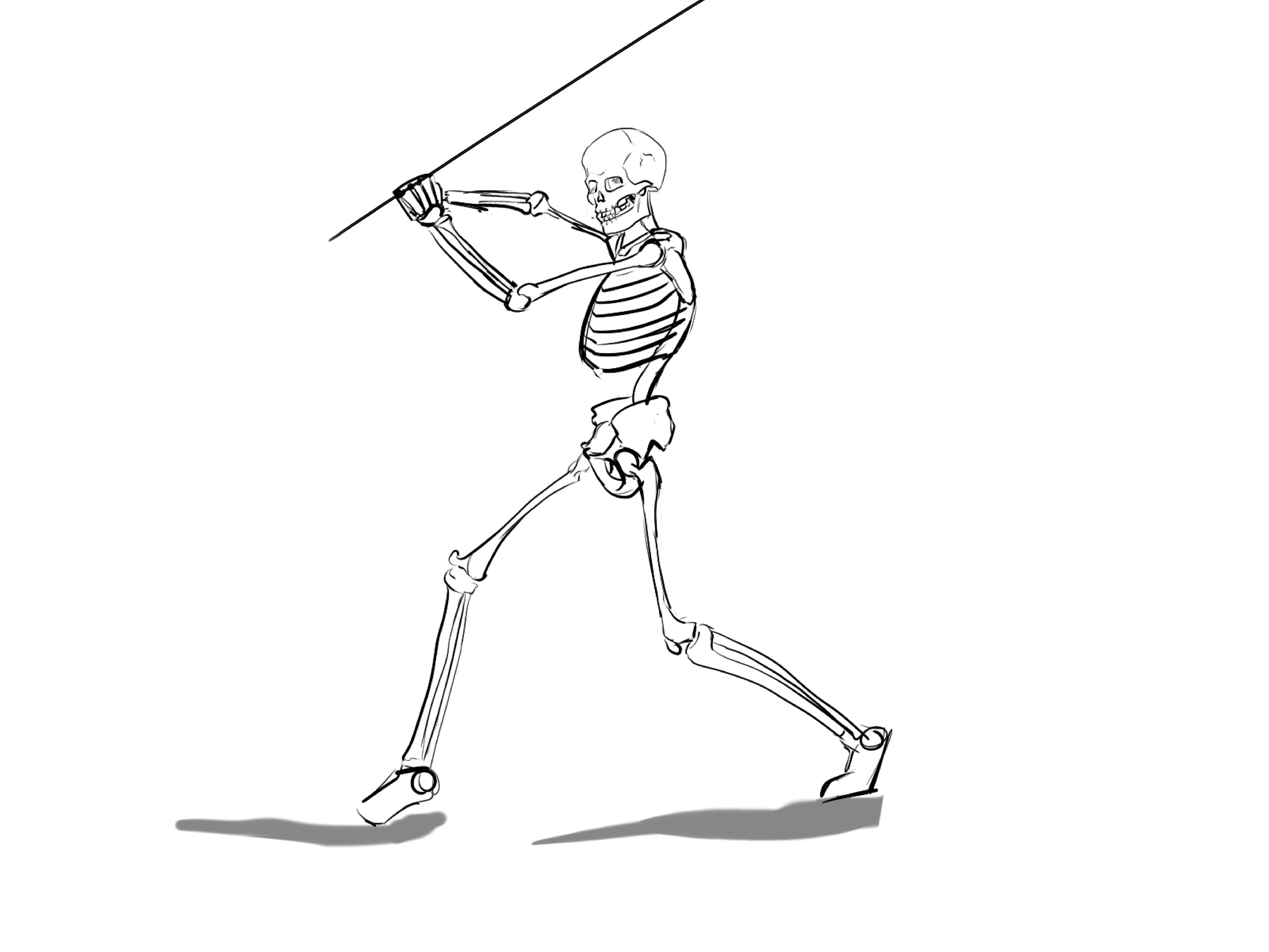 Skeleton