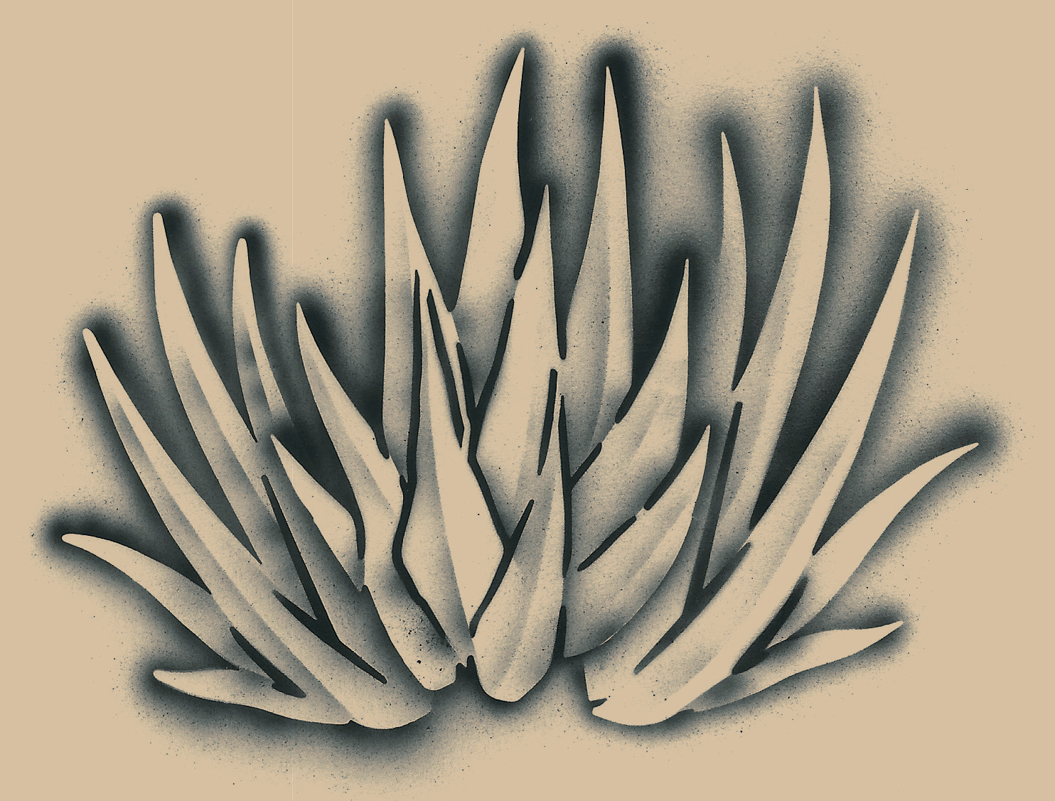 Succulent Plant