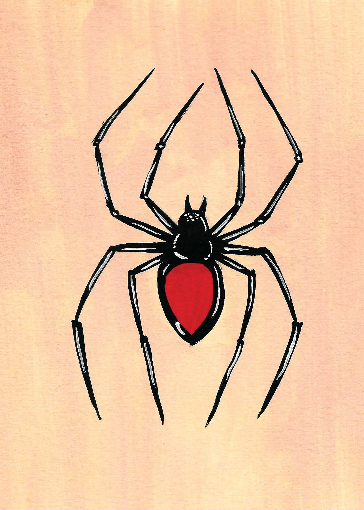 Giant Spider