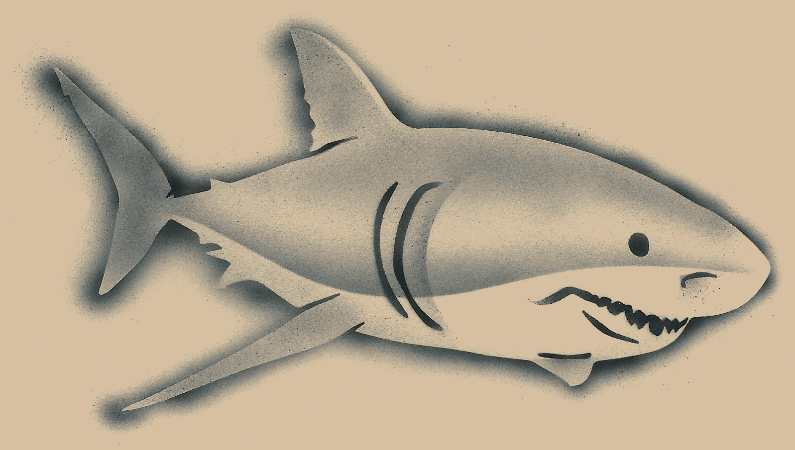 Great White Shark