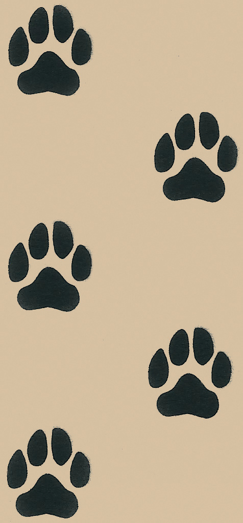 Puppy Paws