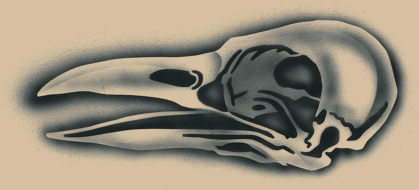 Ravens Skull