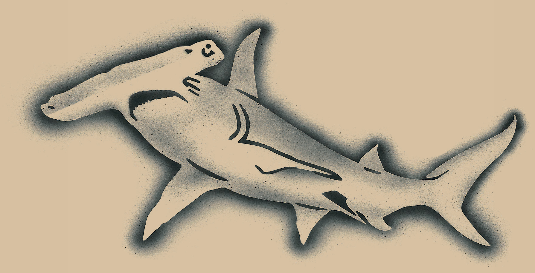 Hammerhead Shark