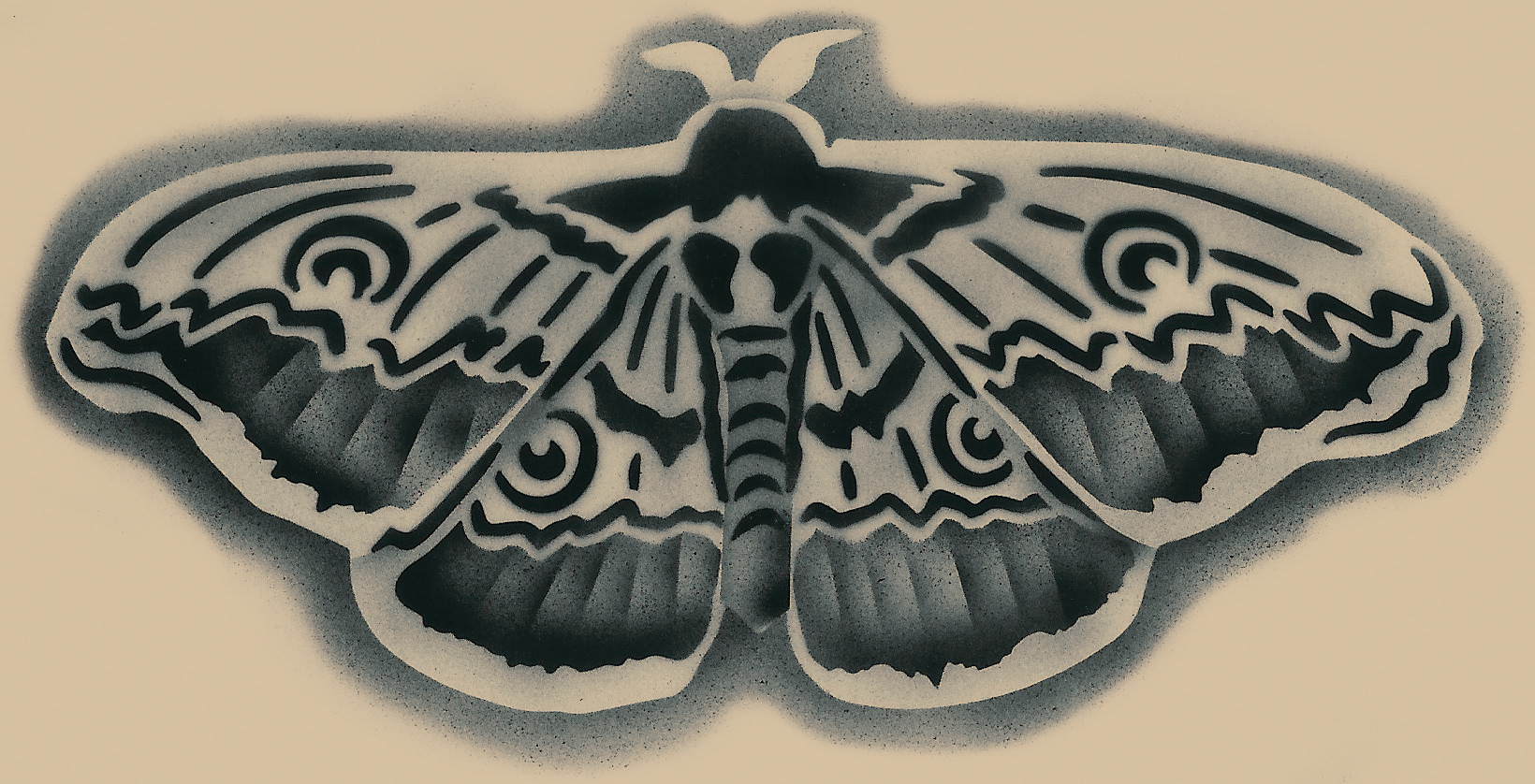 Peacock Moth