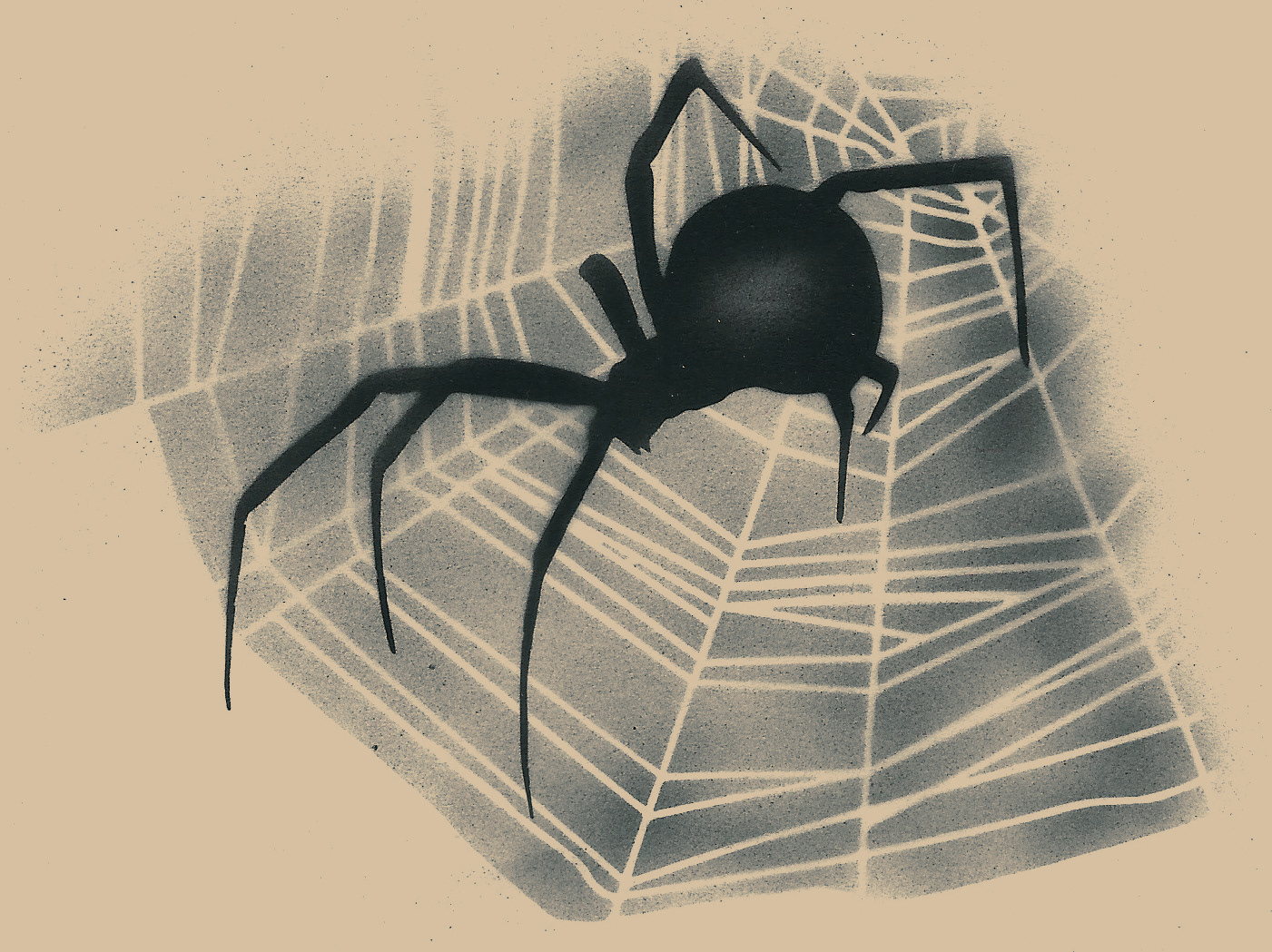 Spider on Webb