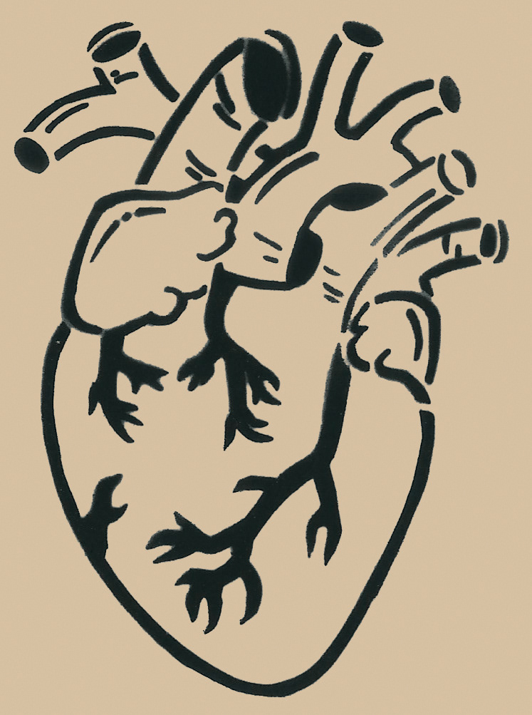 Human Heart