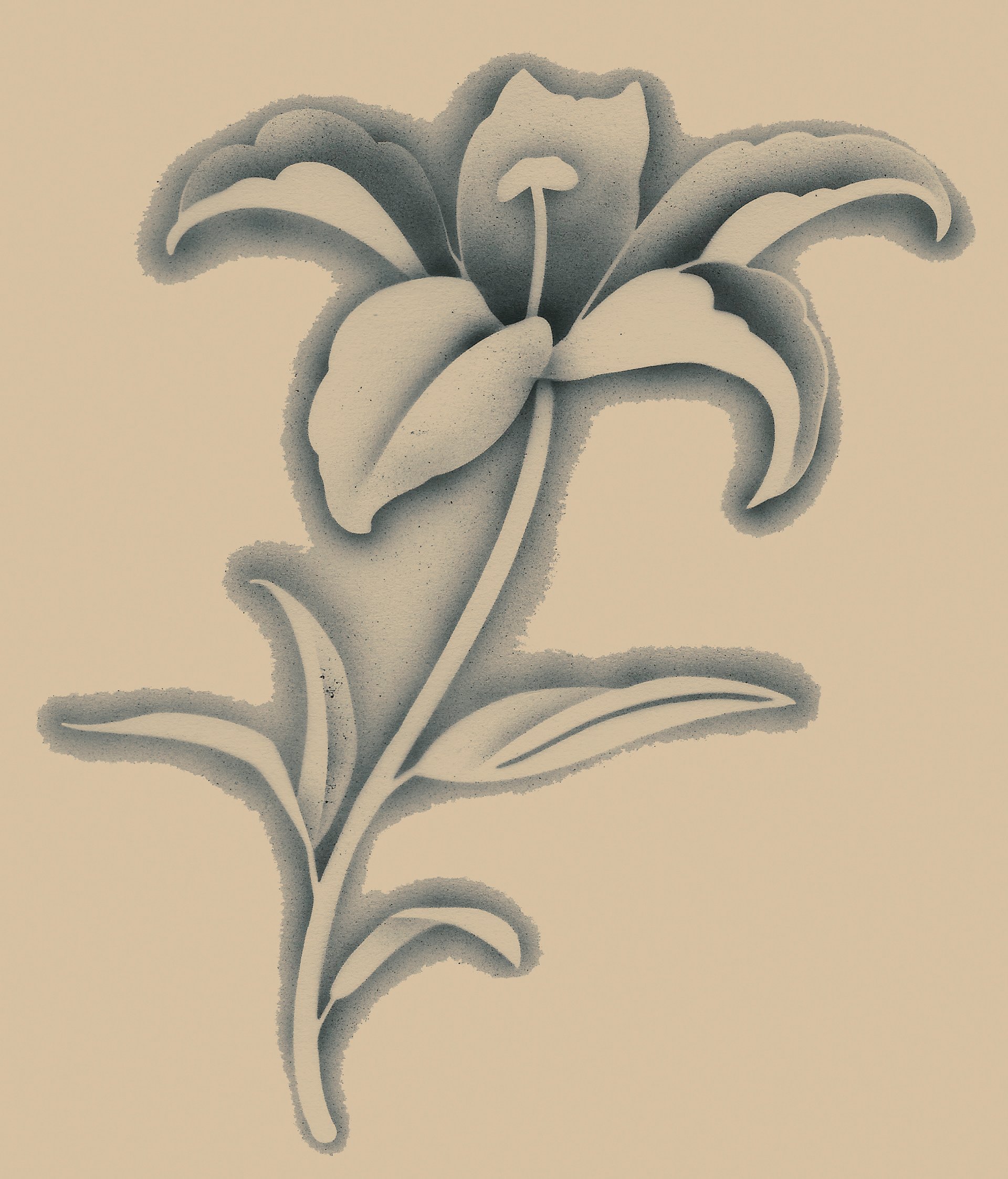 Fancy Lily