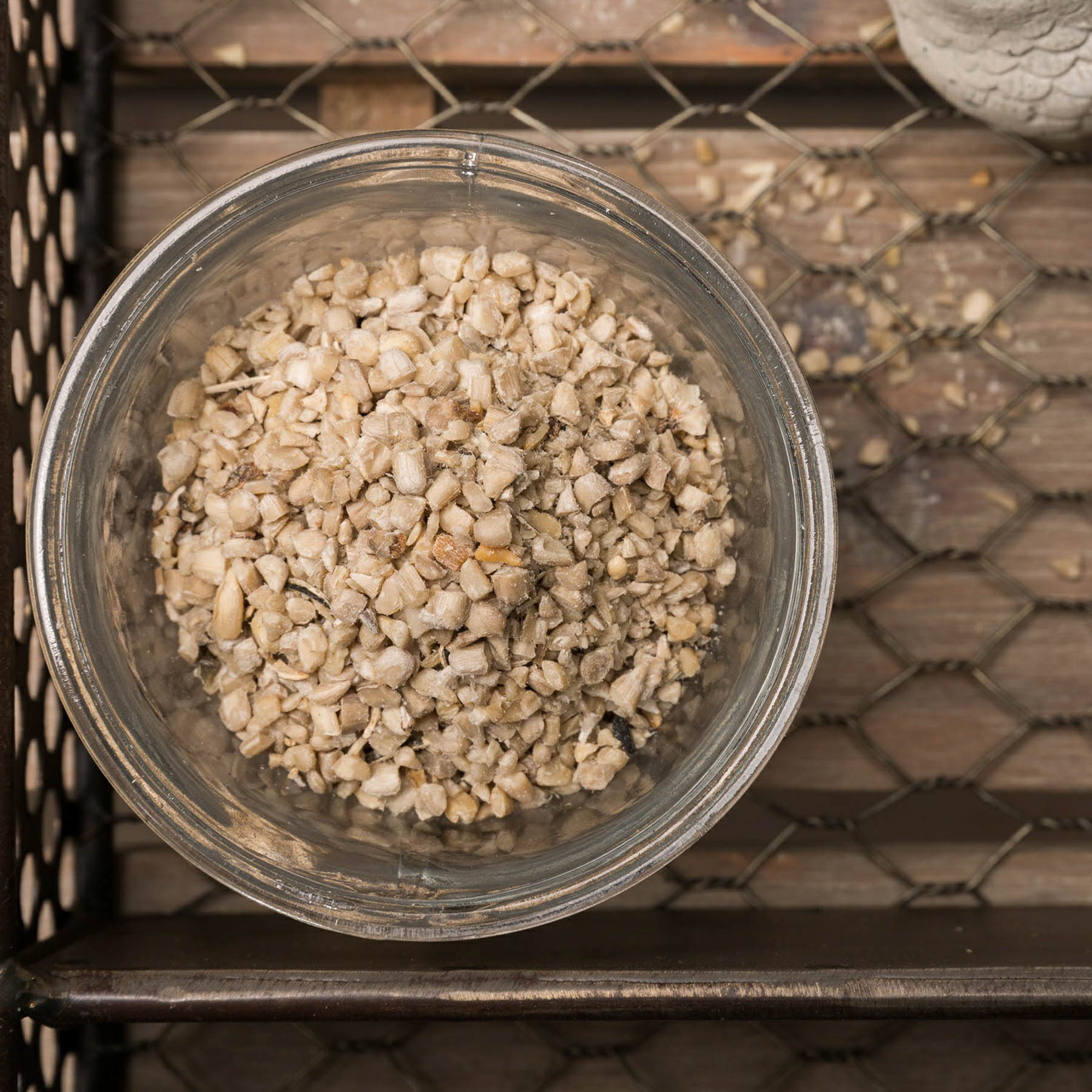 Beauty Lifestyle Birdseed Photography