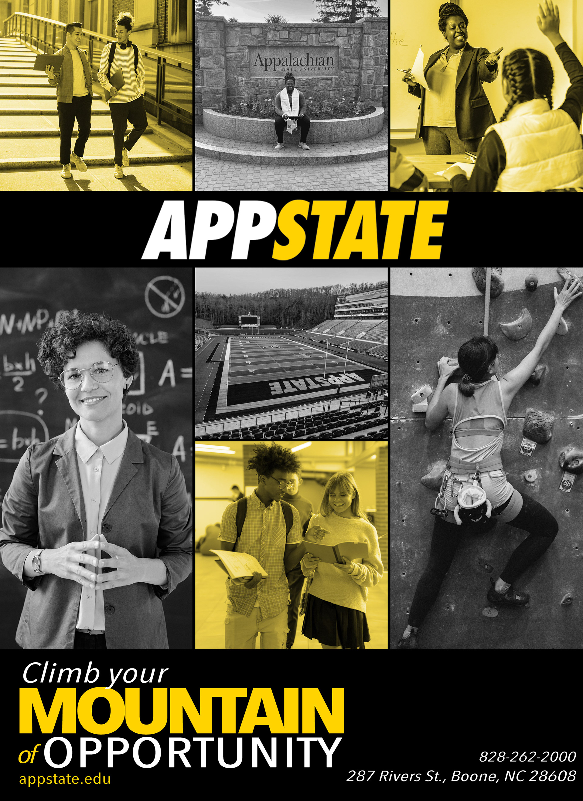 Appalachian State University Flyer