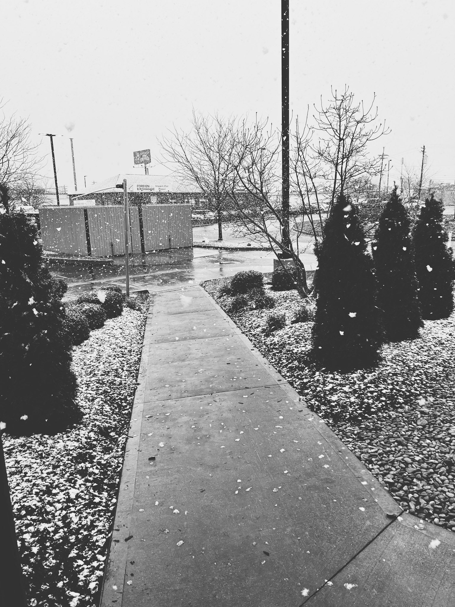 Processed with VSCO with x1 preset