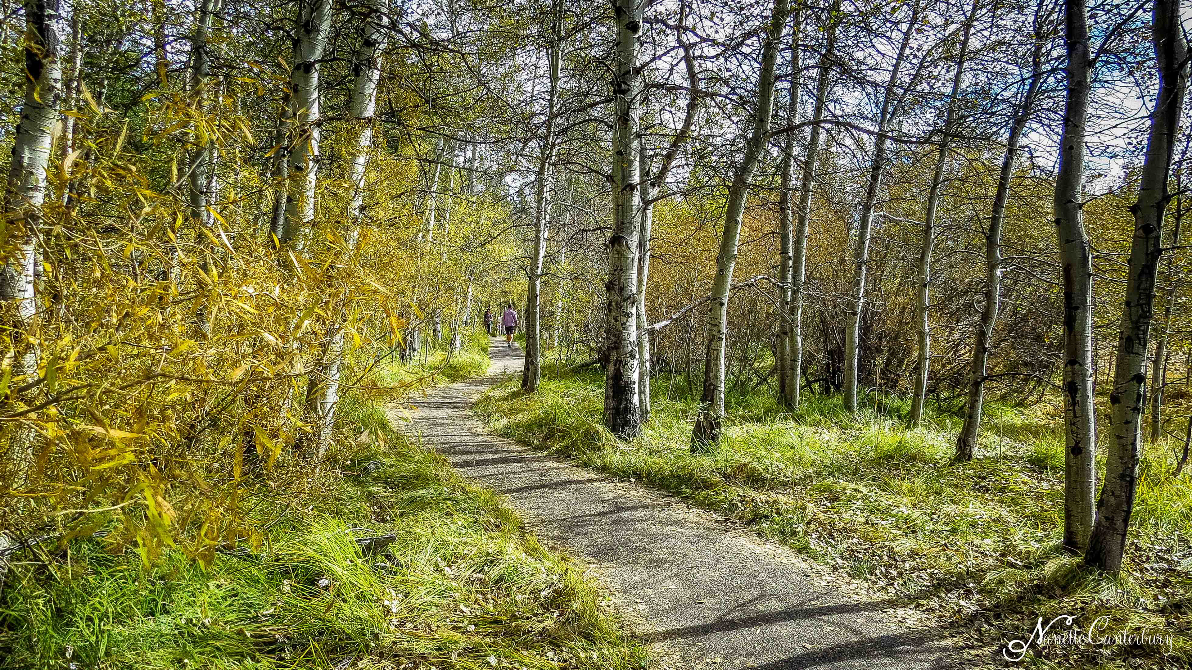 2013