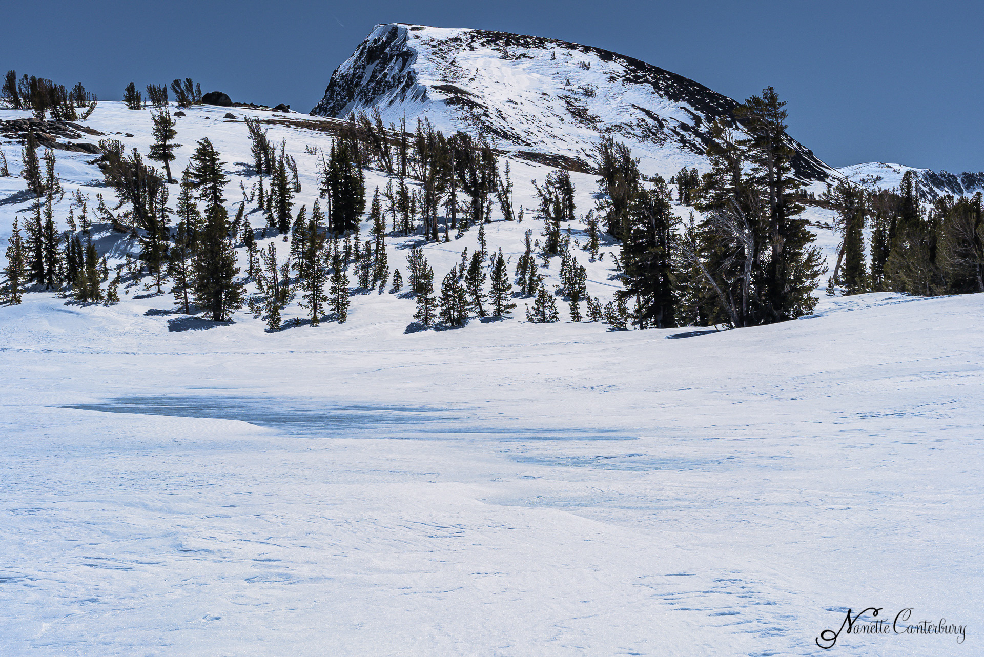 Frog Lake and Elephant Back Mtn.