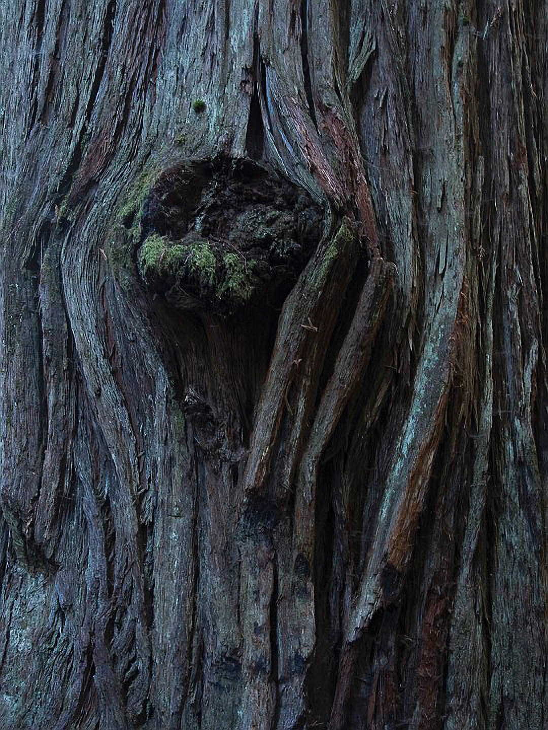 US 2013 Nature-4977