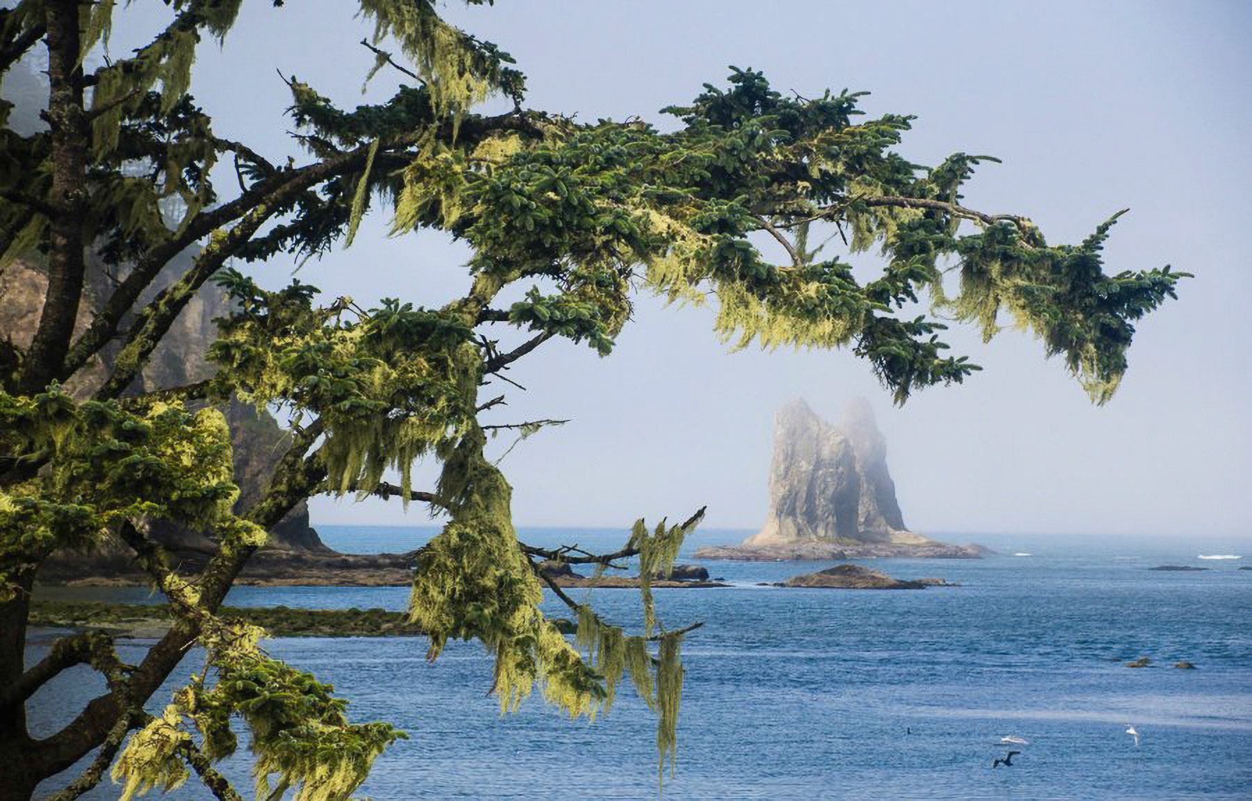US 2013 Nature-3903