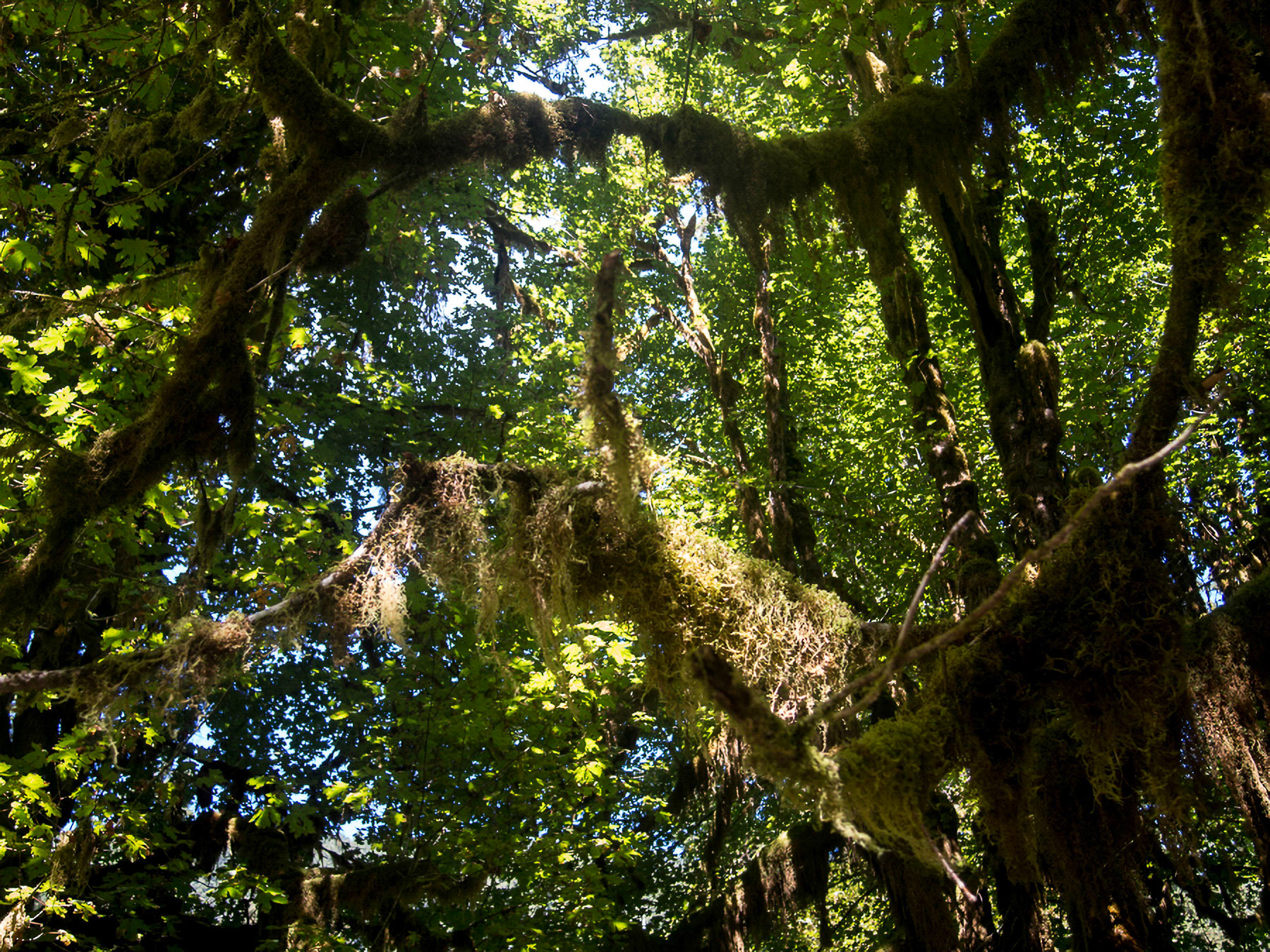 US 2013 Nature-4050