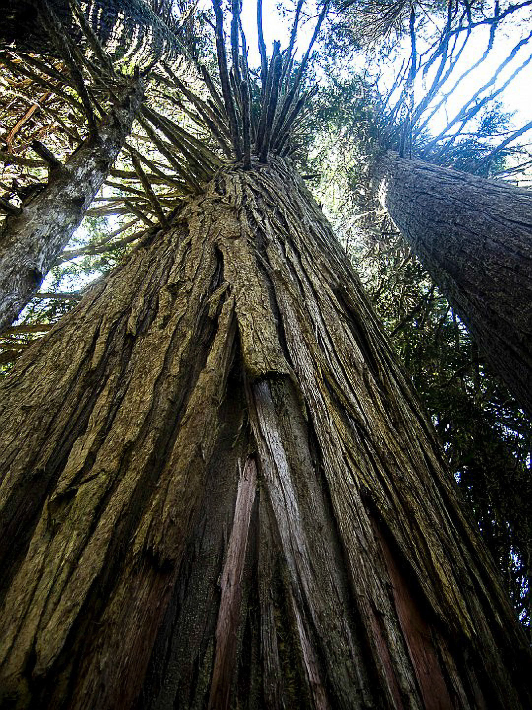 US 2013 Nature-3684