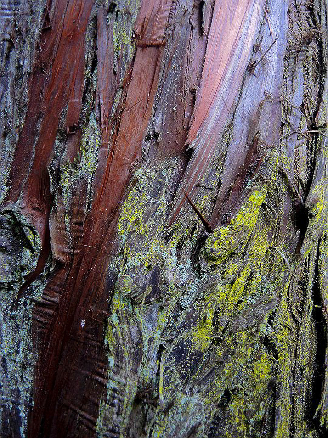 US 2013 Nature-5384