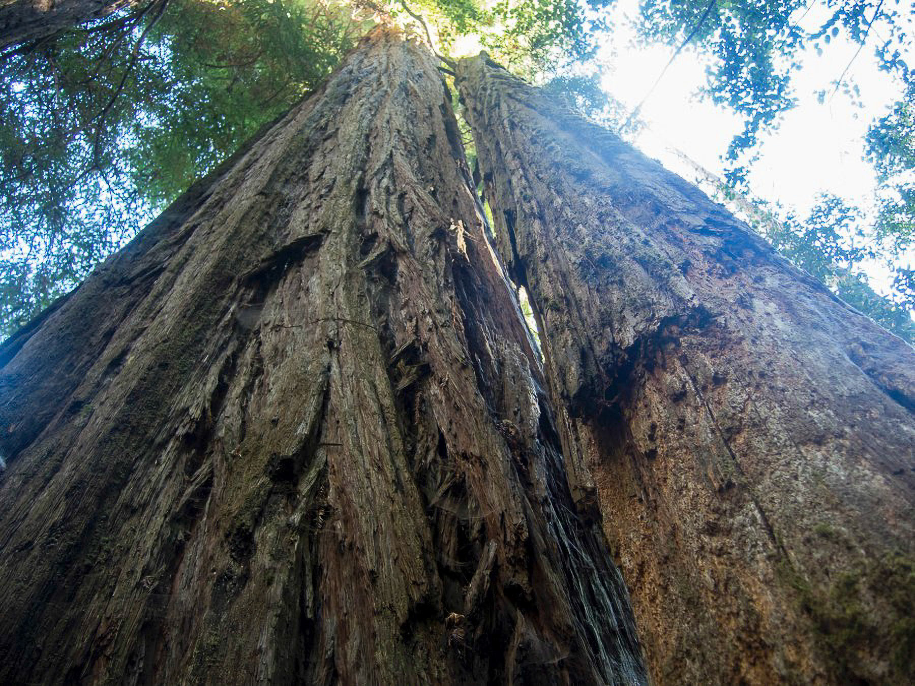 US 2013 Nature-4934