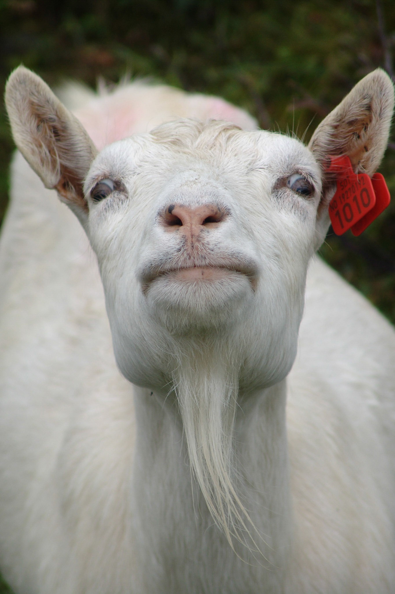 Please say that again