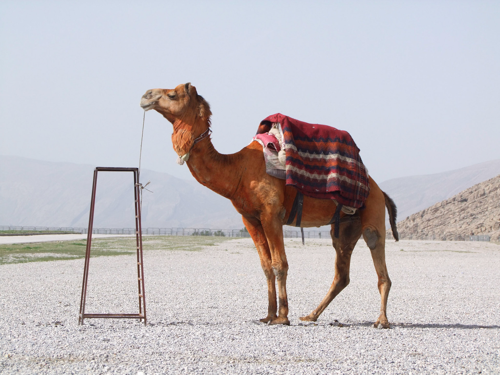 G039 DD PERS DSCF7563