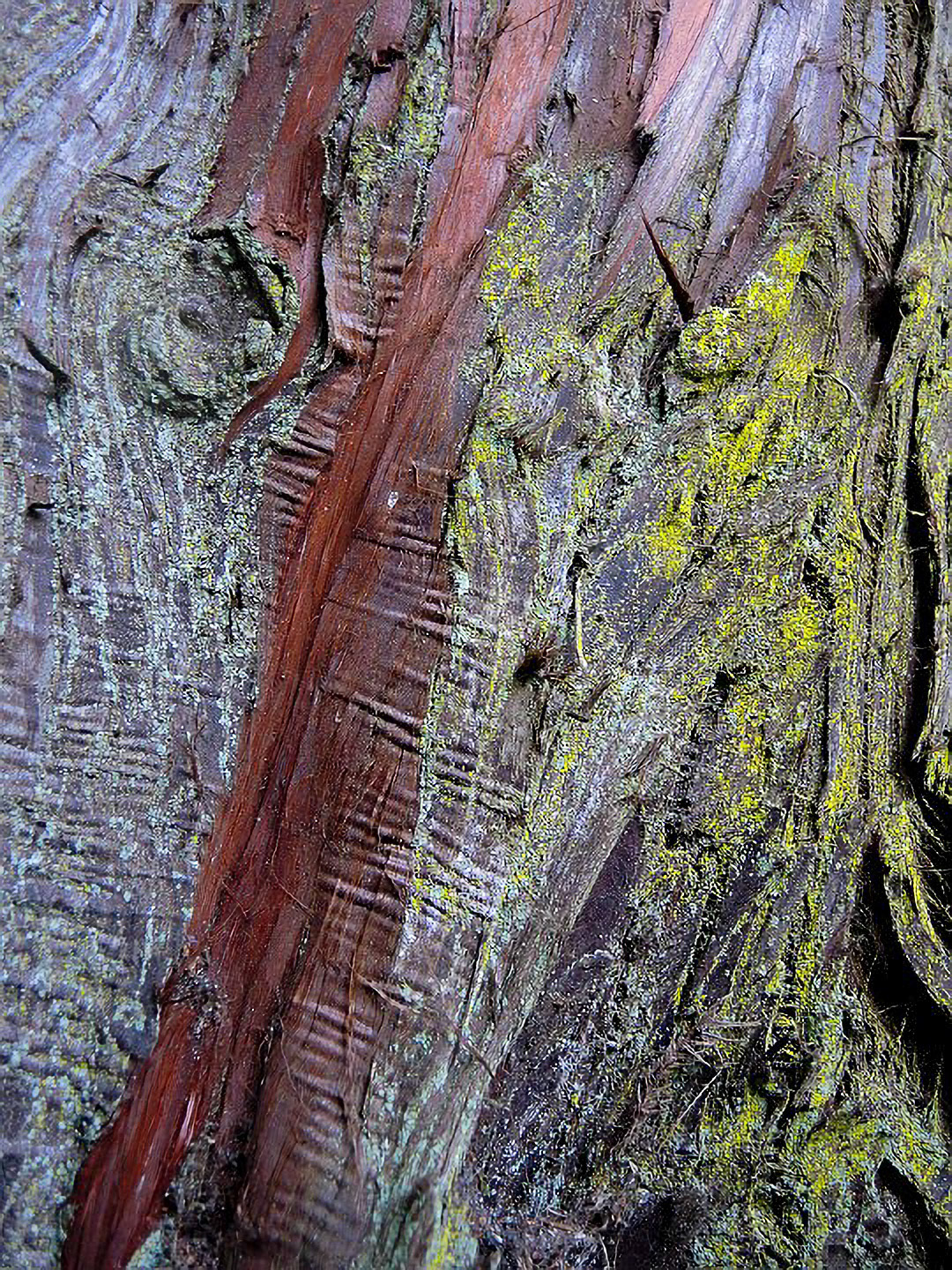 US 2013 Nature-5383