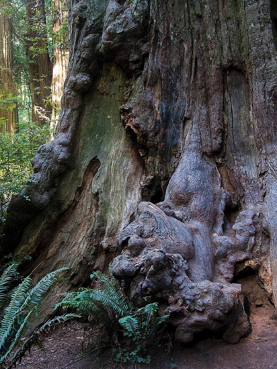 US 2013 Nature-4989