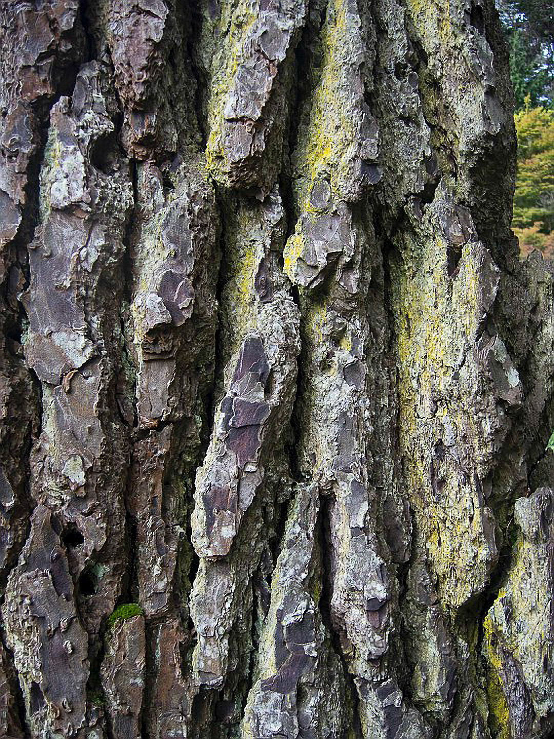 US 2013 Nature-5370