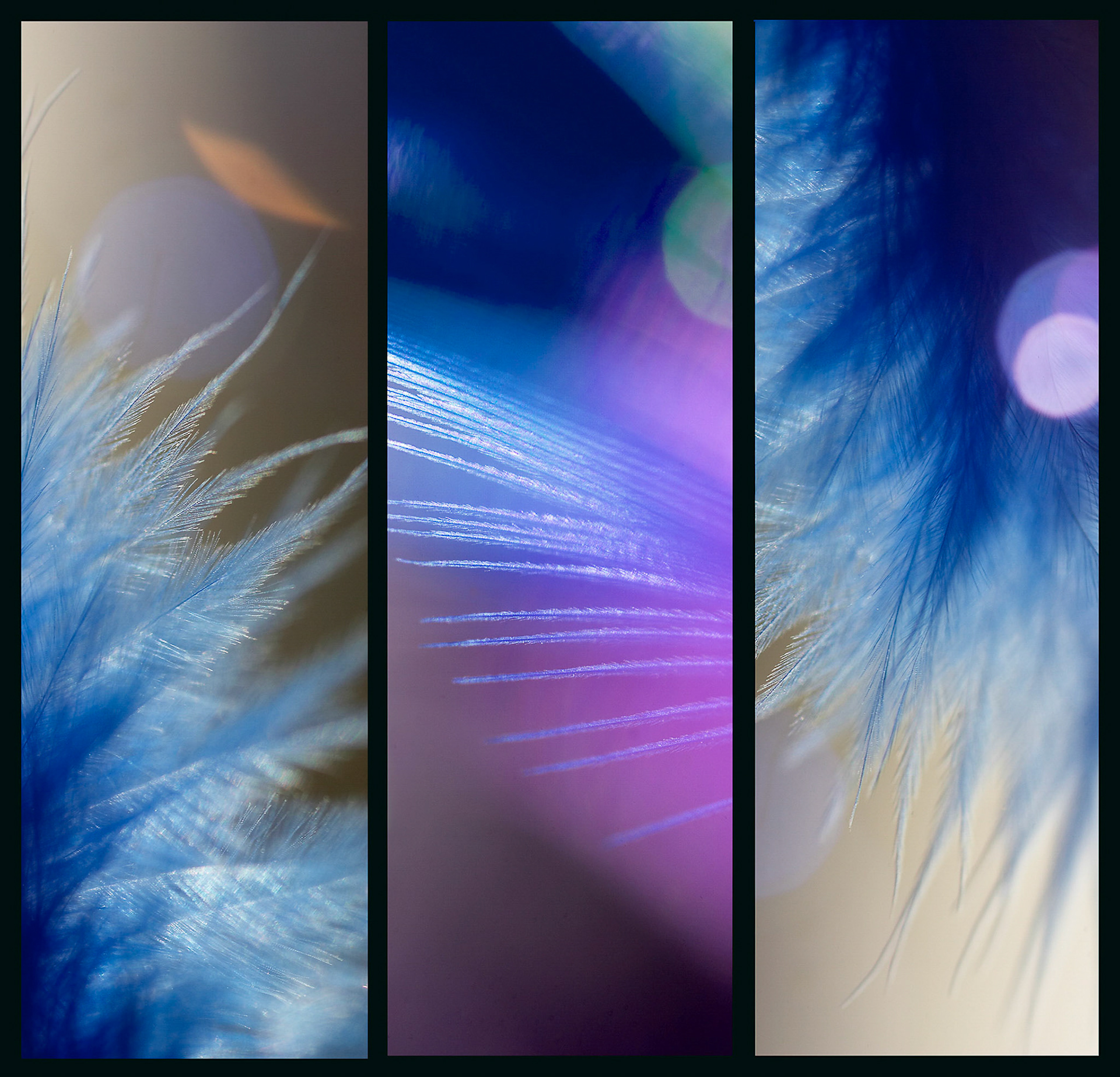 50 51 52 Blå fjær-64