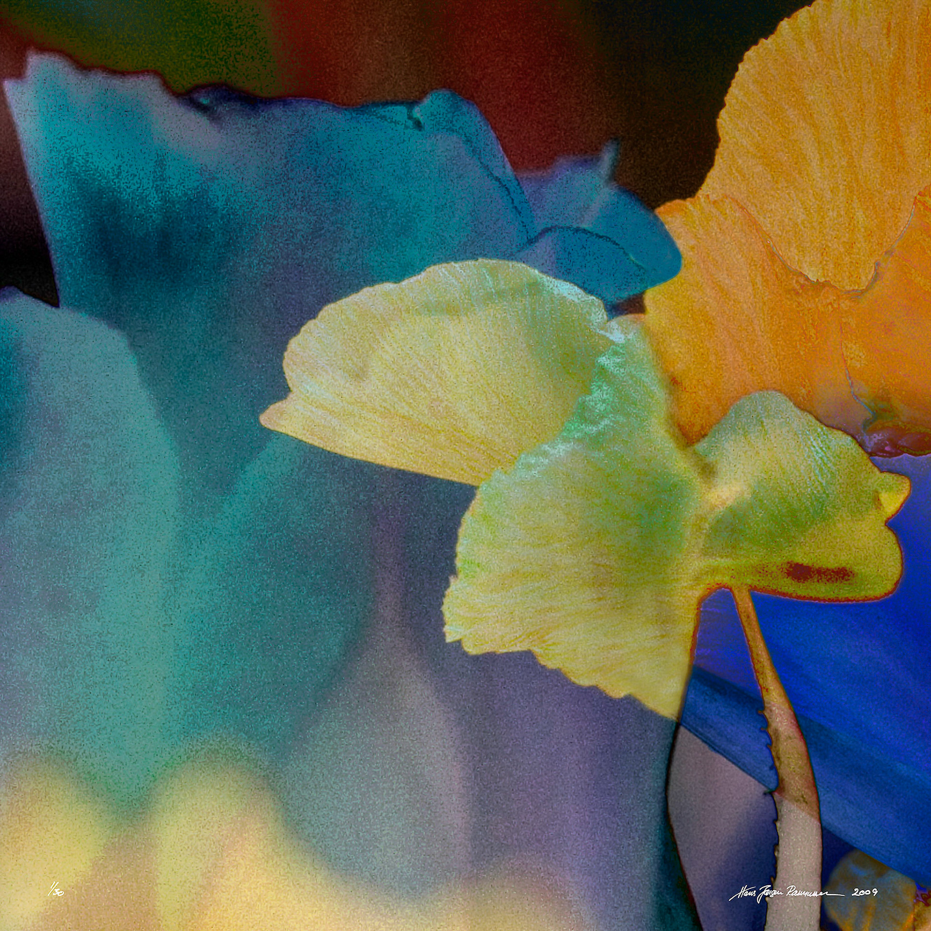 68 Blomsterpoesi 1-82