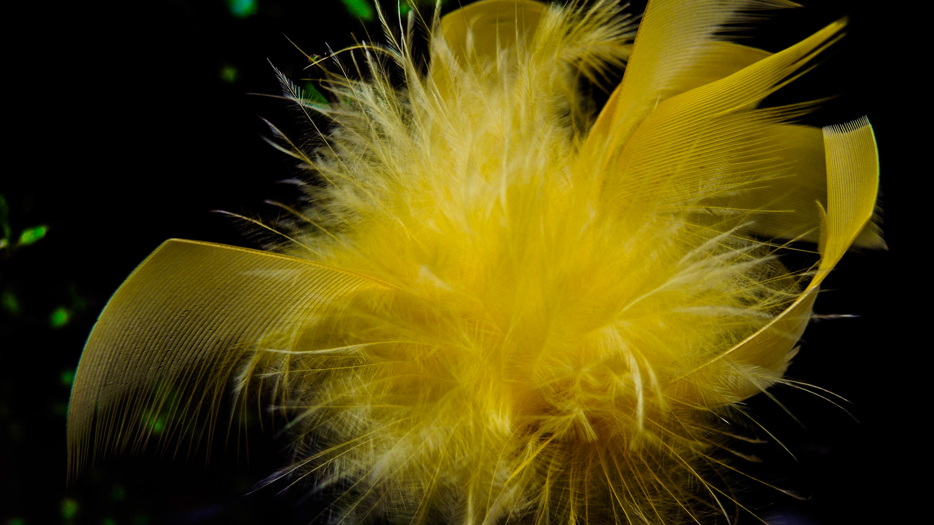 Feathering shapes 5